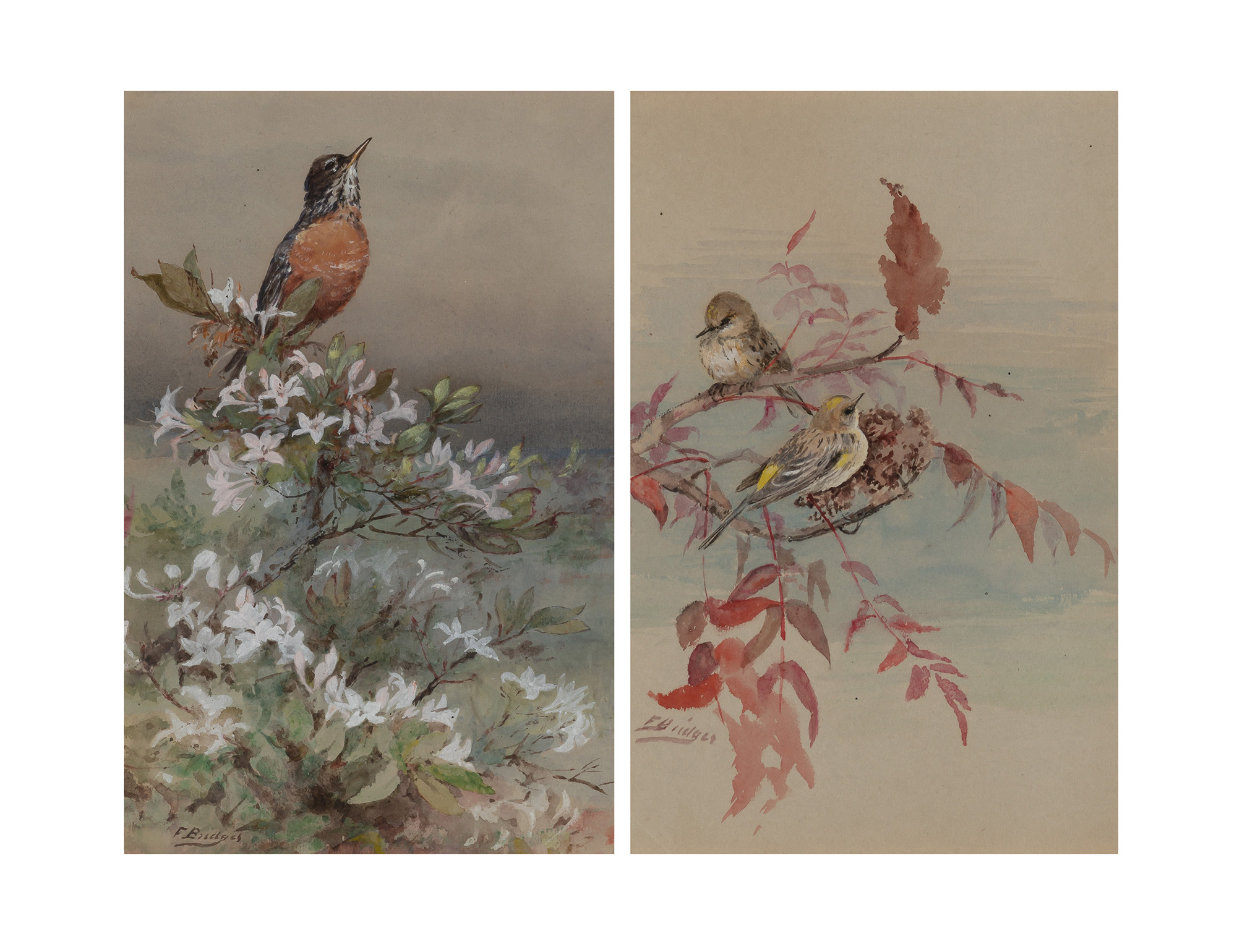 Lot image - Fidelia Bridges