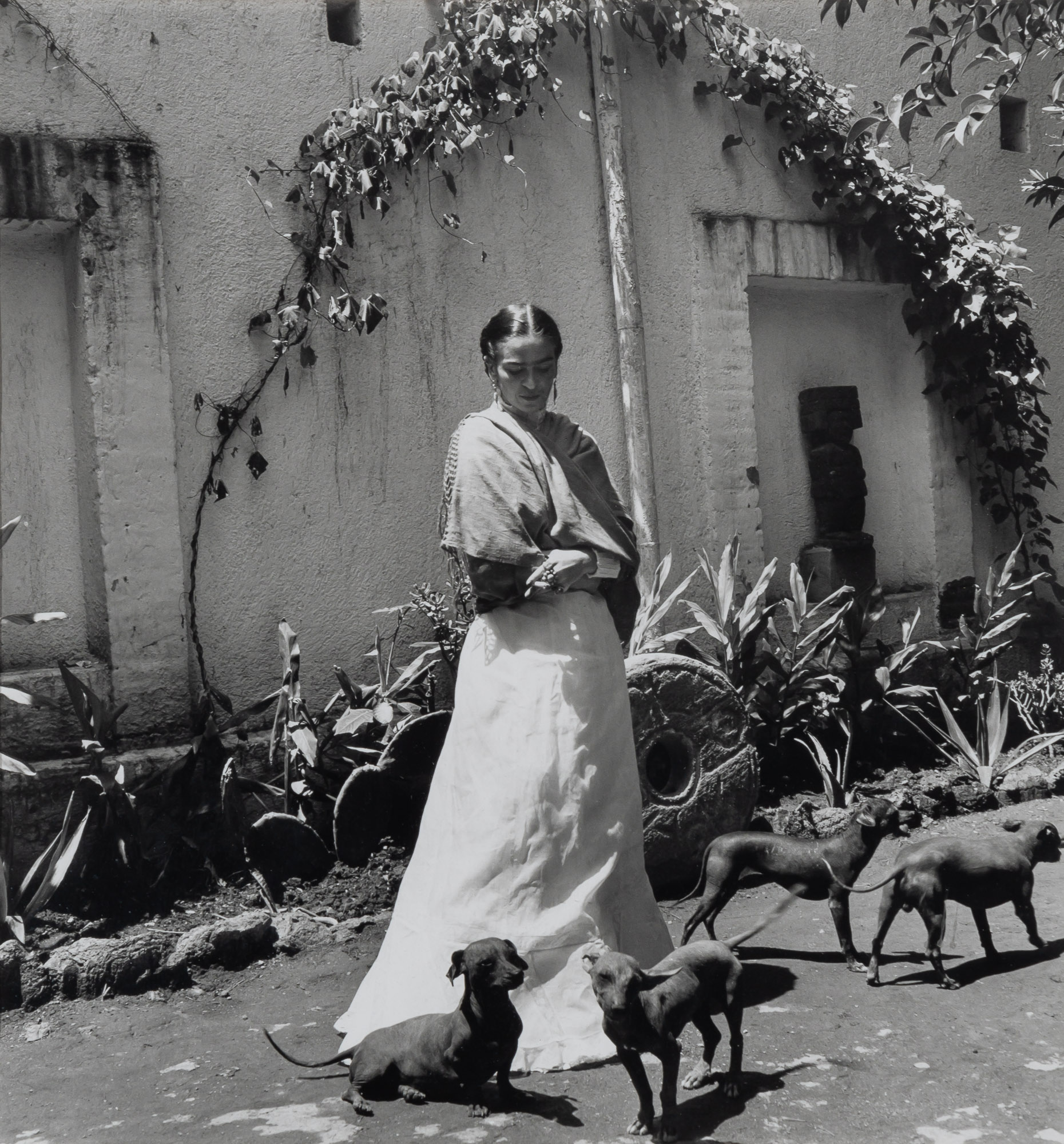 Lot image - FREUND, GISELE (1908-2000);  Frida Kahlo avec ses chiens,
