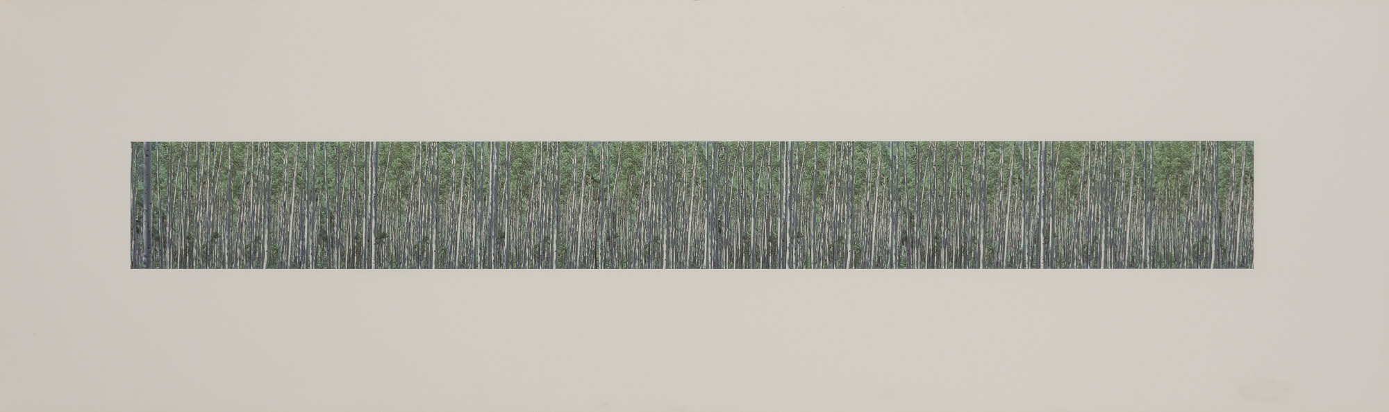 Lot image - Tom Bamberger