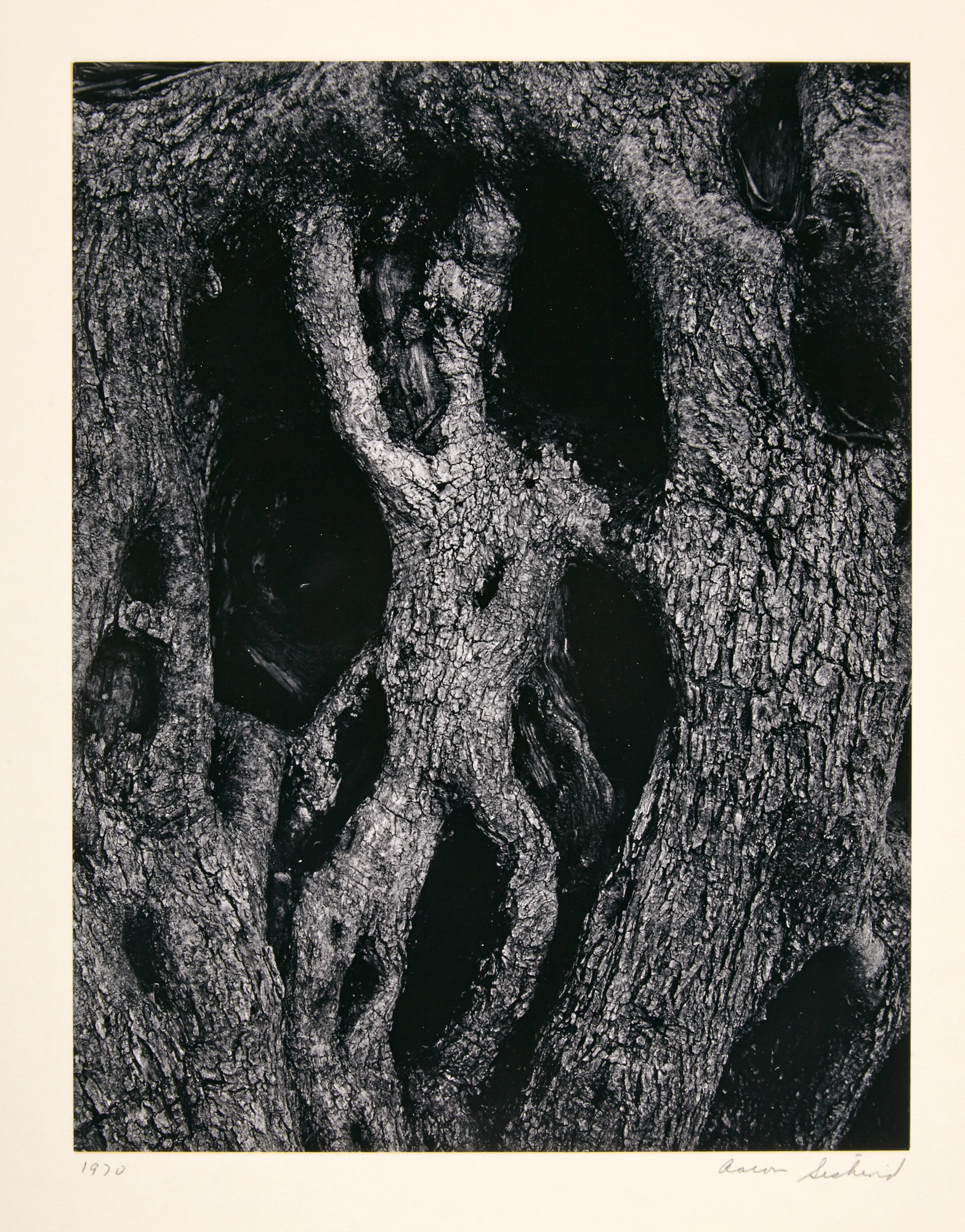 Lot image - (SISKIND, AARON; SIEGEL, ARTHUR et al.)  Institute of Design. Student Independent 1971.