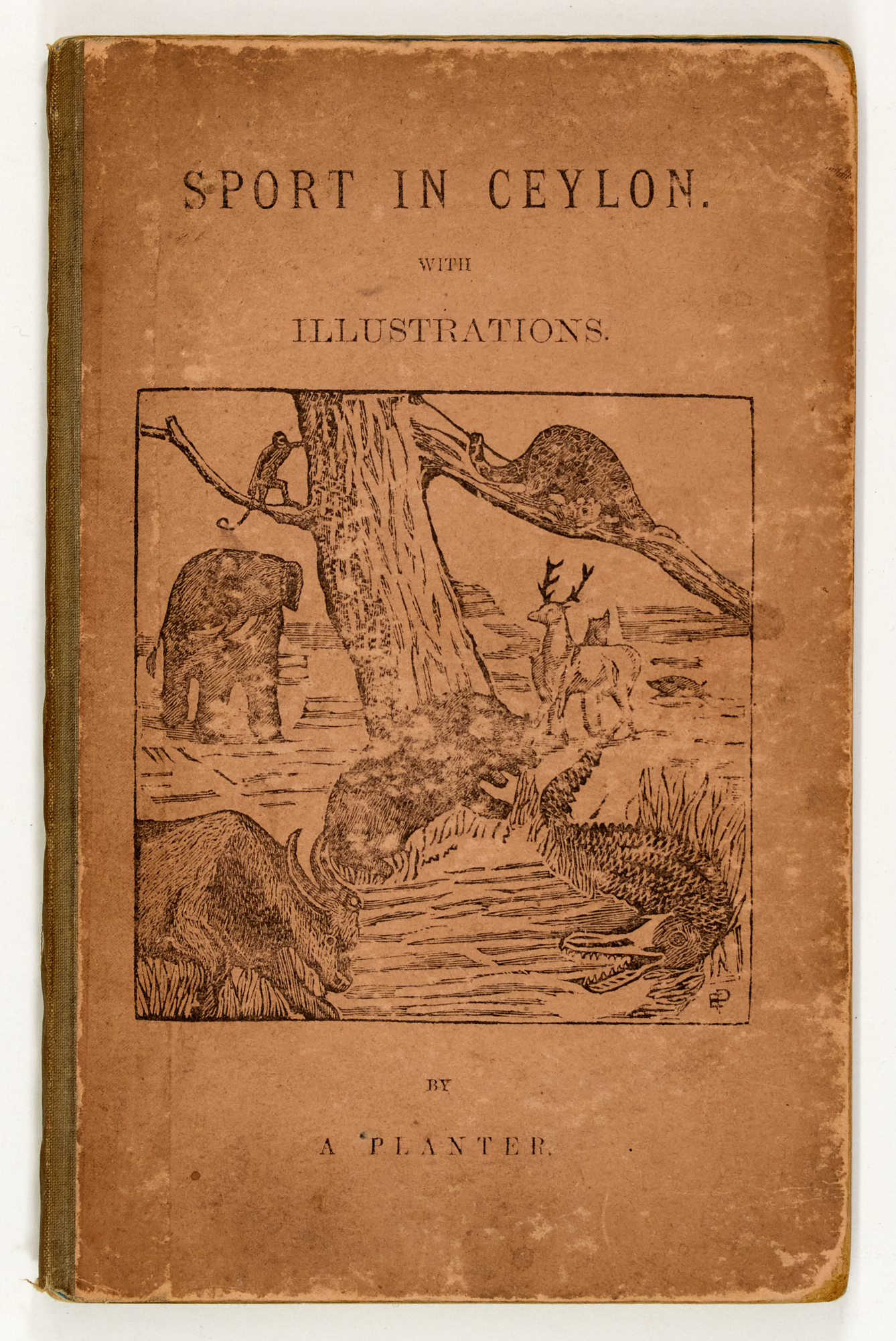 Lot image - [ASIA-HUNTING]  A Planter [pseud., JENKINS, RICHARD WADE]  Sport in Ceylon. Extracts from a Diary of Four Trips to the North-Central Province...