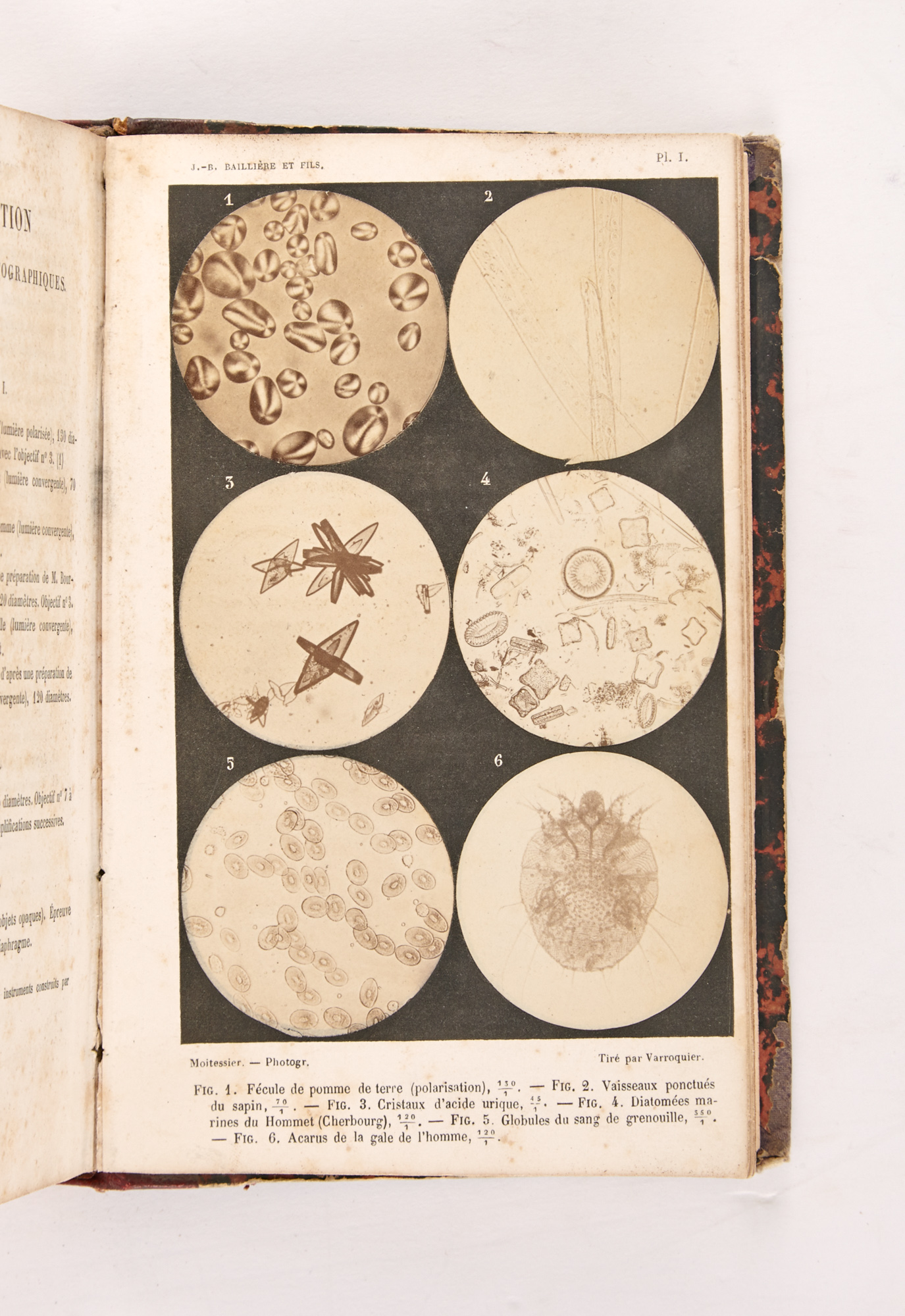 Lot image - [PHOTOMICROSCOPY]  MOITESSIER, ALBERT. La Photographie Appliquée aux Recherches Micrographiques.