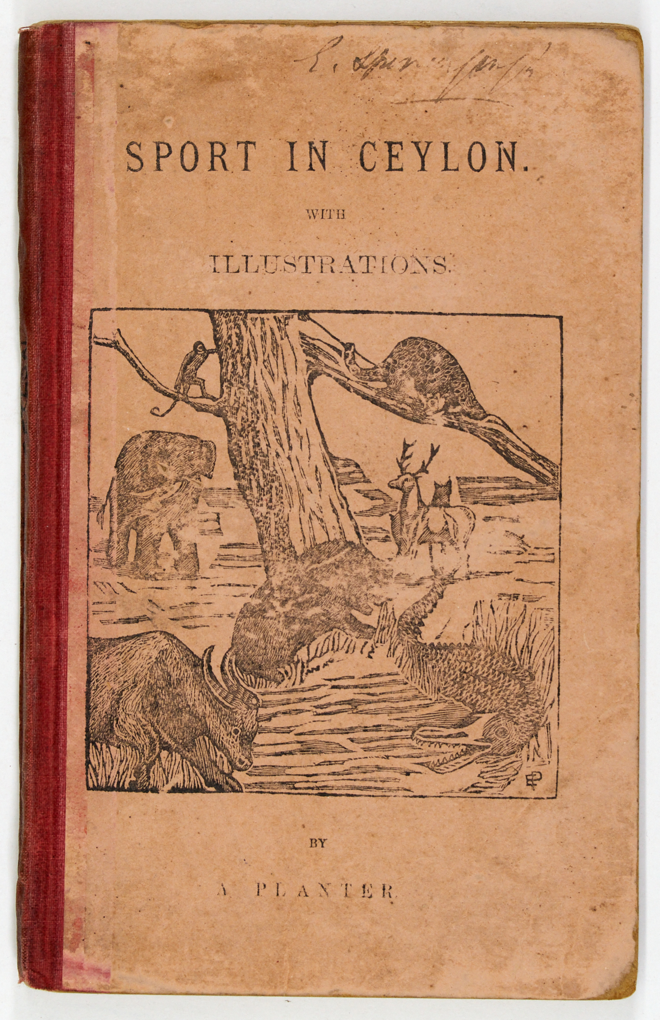 Lot image - [ASIA-HUNTING]  A Planter [pseud., JENKINS, RICHARD WADE]  Sport in Ceylon. Extracts from a Diary of Four Trips to the North-Central Province...