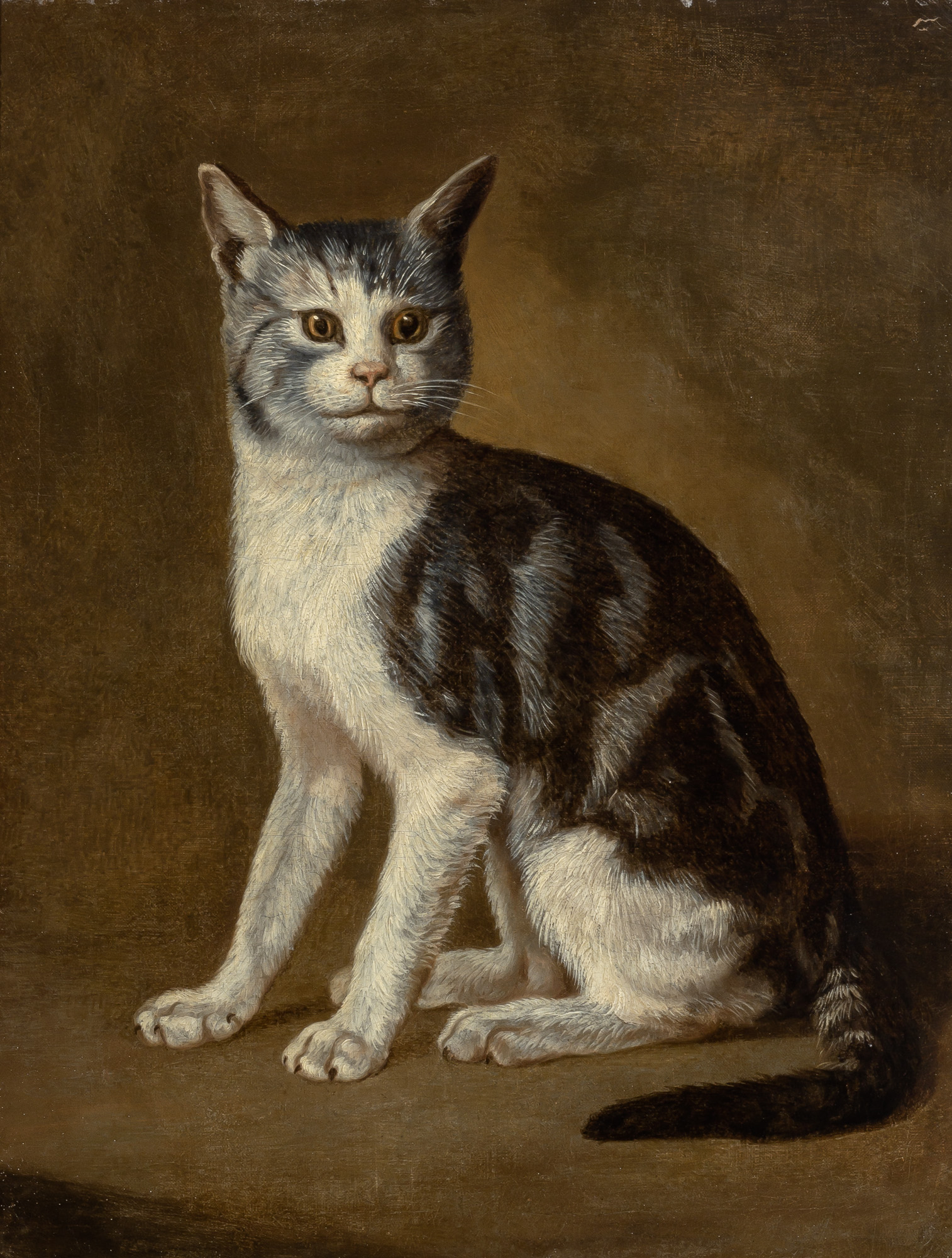 Lot image - Continental School