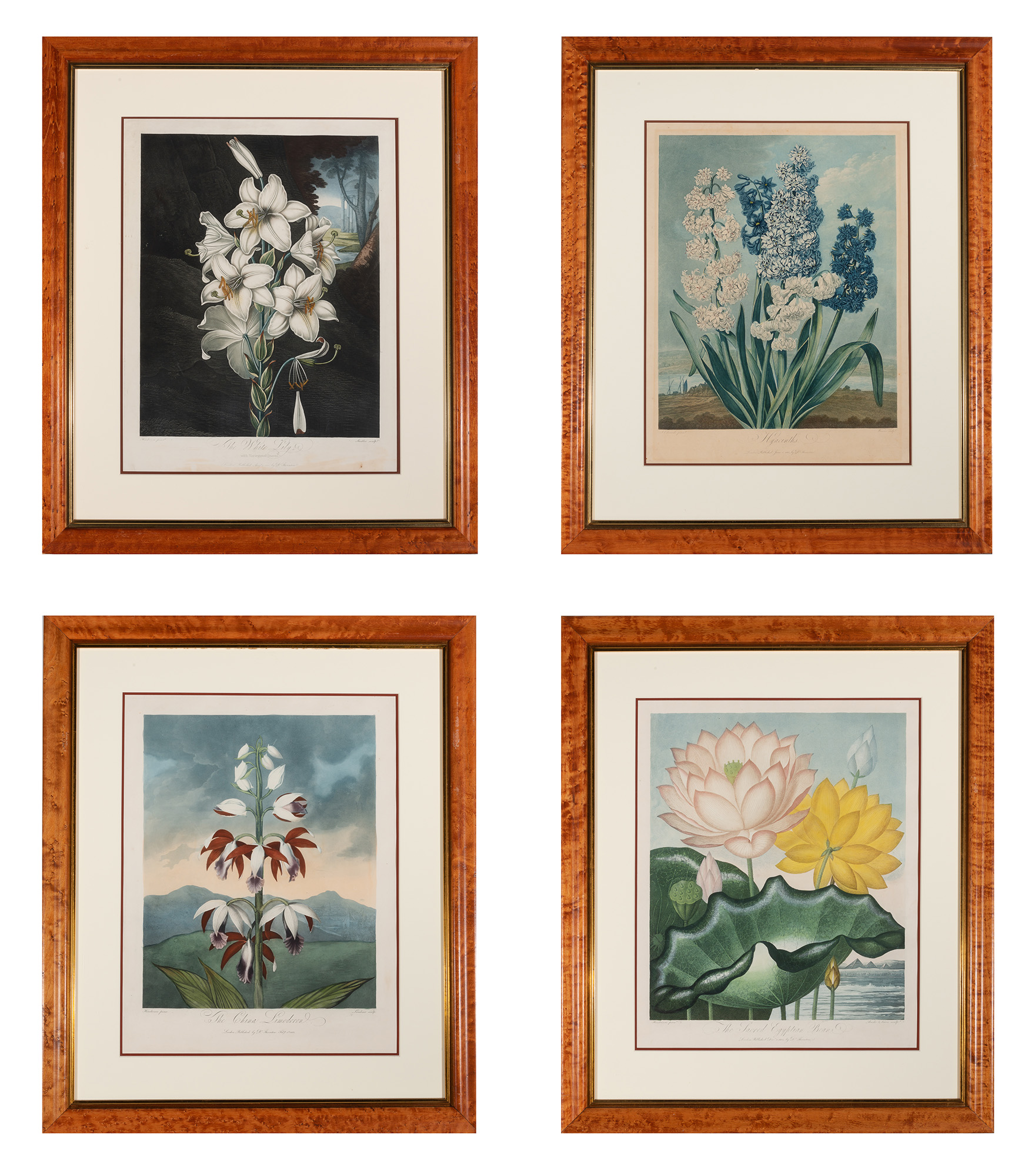 Lot image - Dr. Robert J. Thornton, publisher (1768-1837)