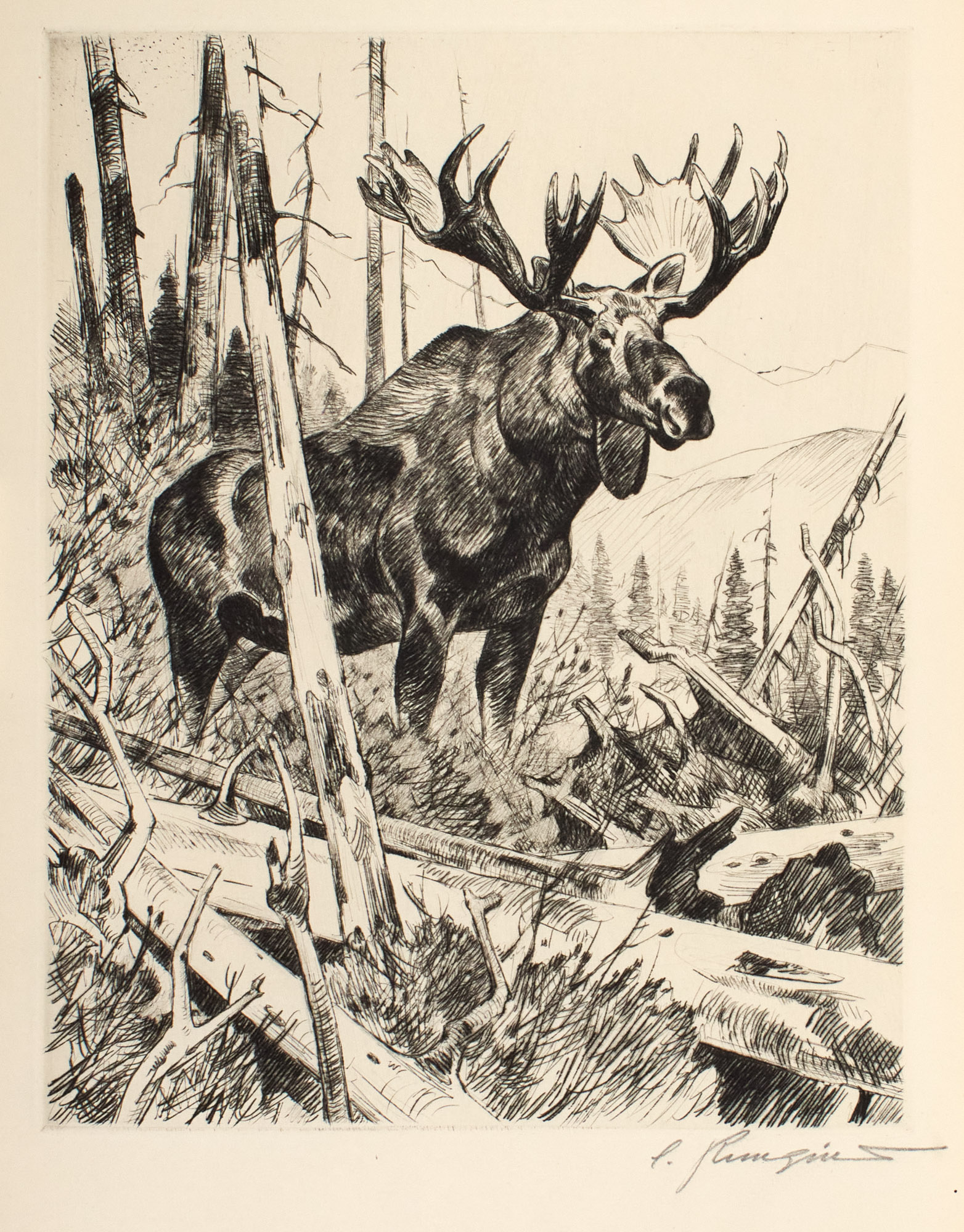 Lot image - [RUNGIUS, CARL]  SCHALDACH, WILLIAM J. Carl Rungius. Big Game Hunter. Fifty Years with Brush and Rifle.
