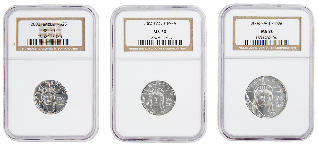 Lot image - United States Group of Platinum Eagles MS-70
