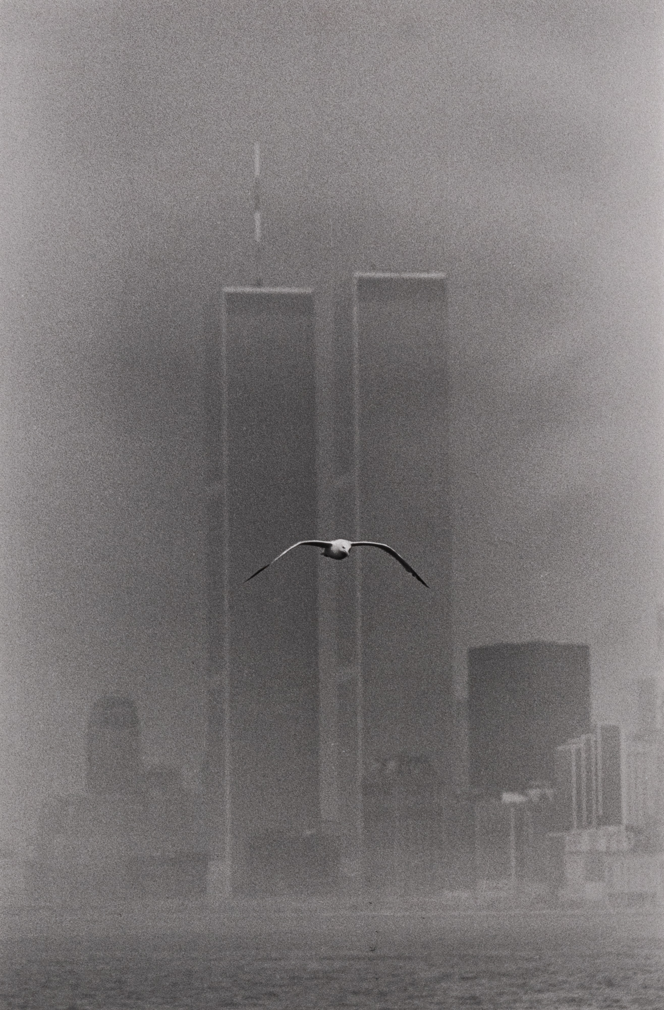 Lot image - STETTNER, LOUIS (1922-2016)  Lower Manhattan [World Trade Center],