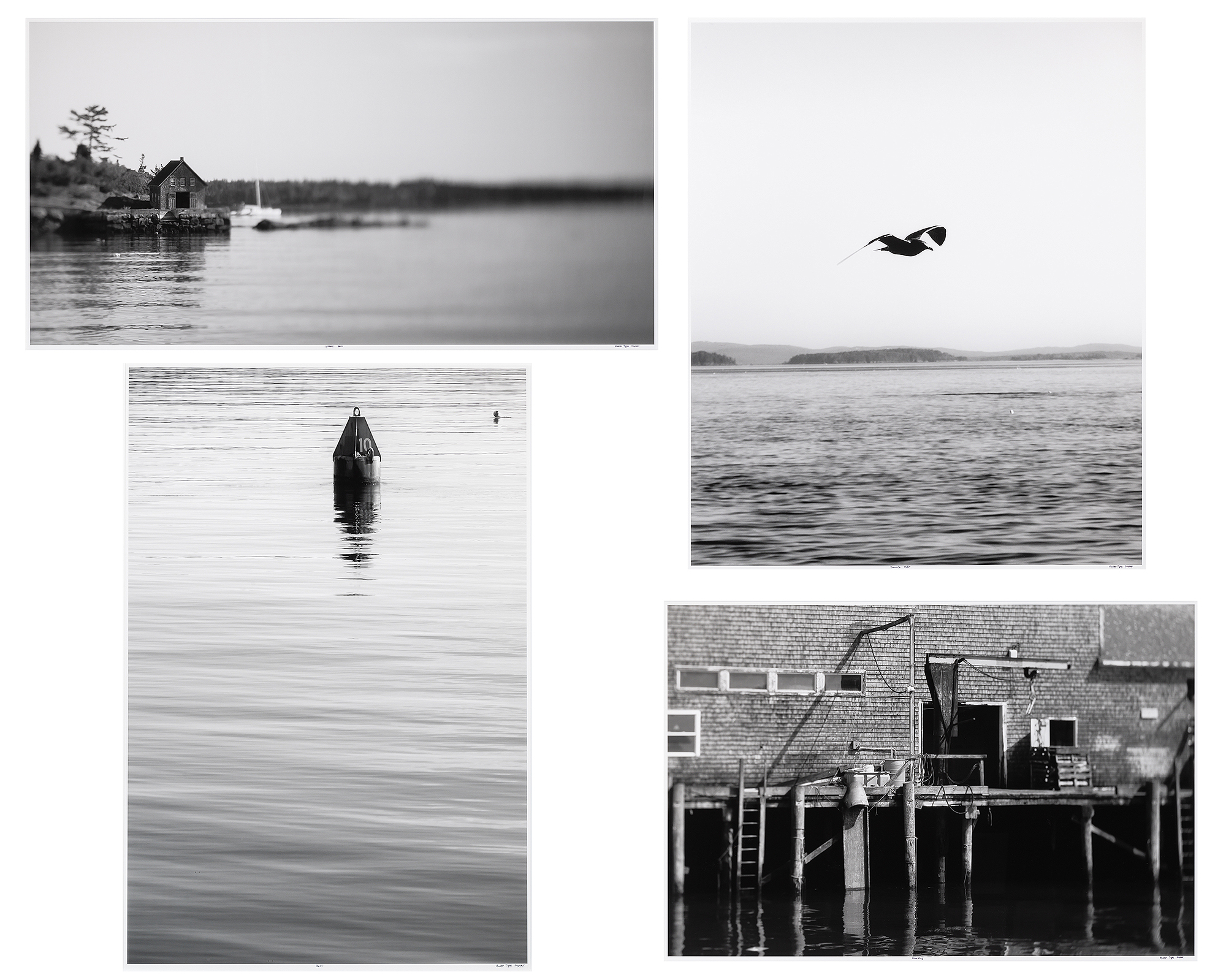 Lot image - [MAINE PHOTOGRAPHY]  SNYDER, HUNTER TIGHE. Four large format photographs.