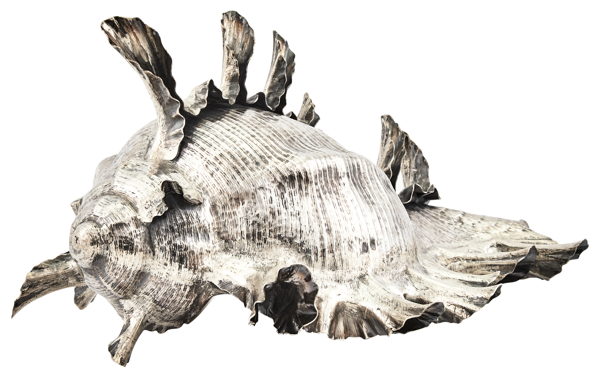 Lot image - Portuguese Silver Shell