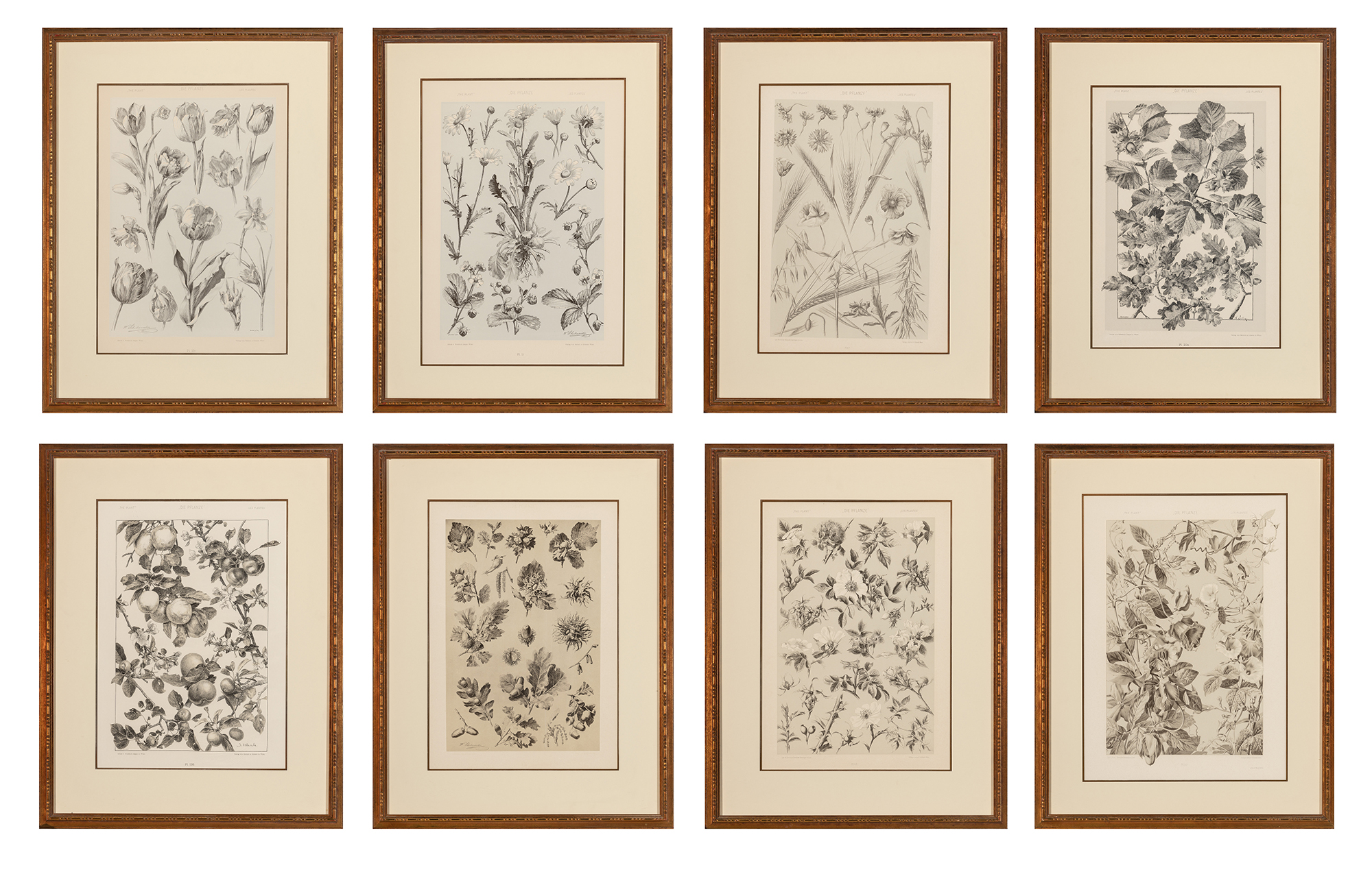 Lot image - Gerlach & Schenk, publishers