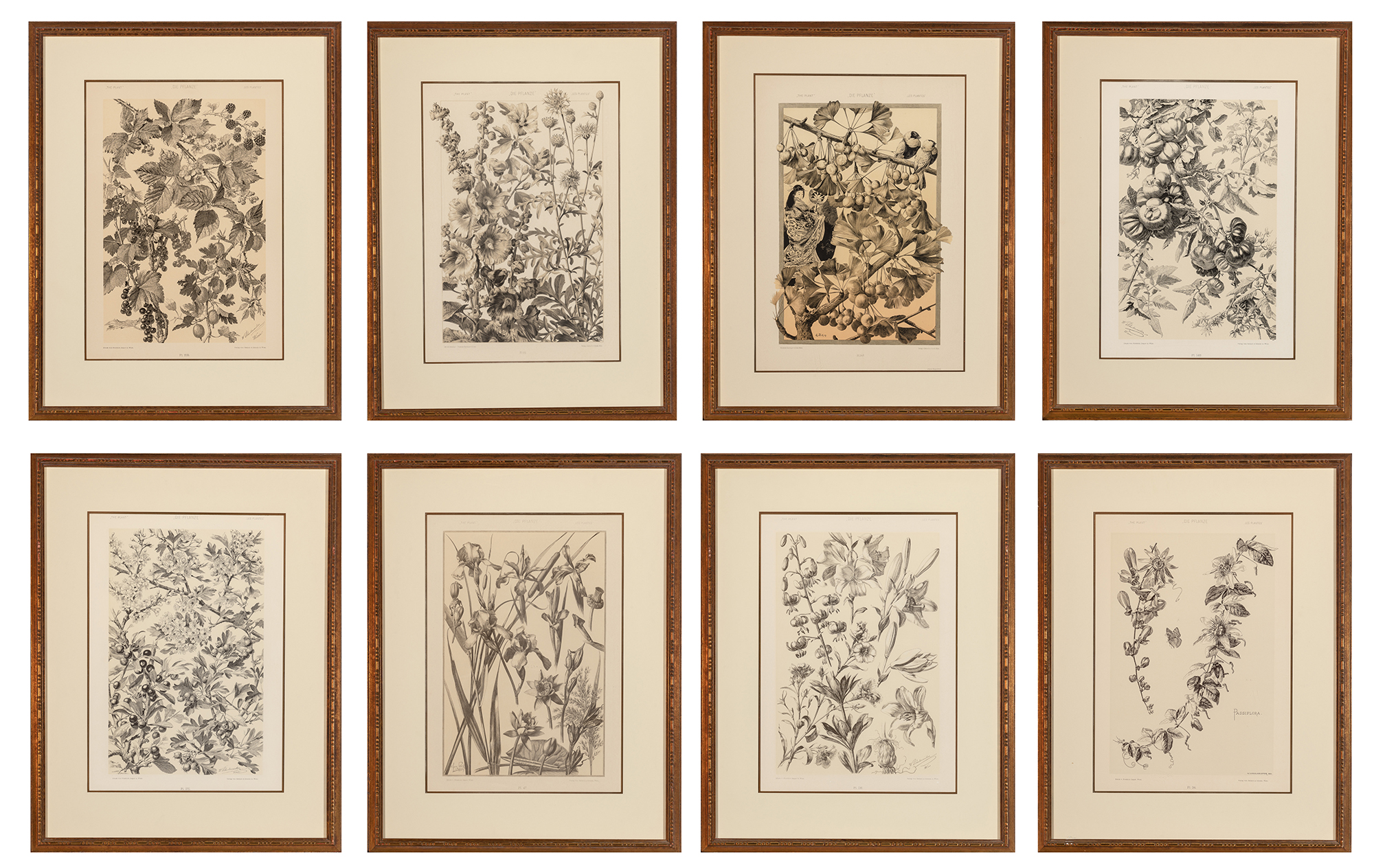 Lot image - Gerlach & Schenk, publishers