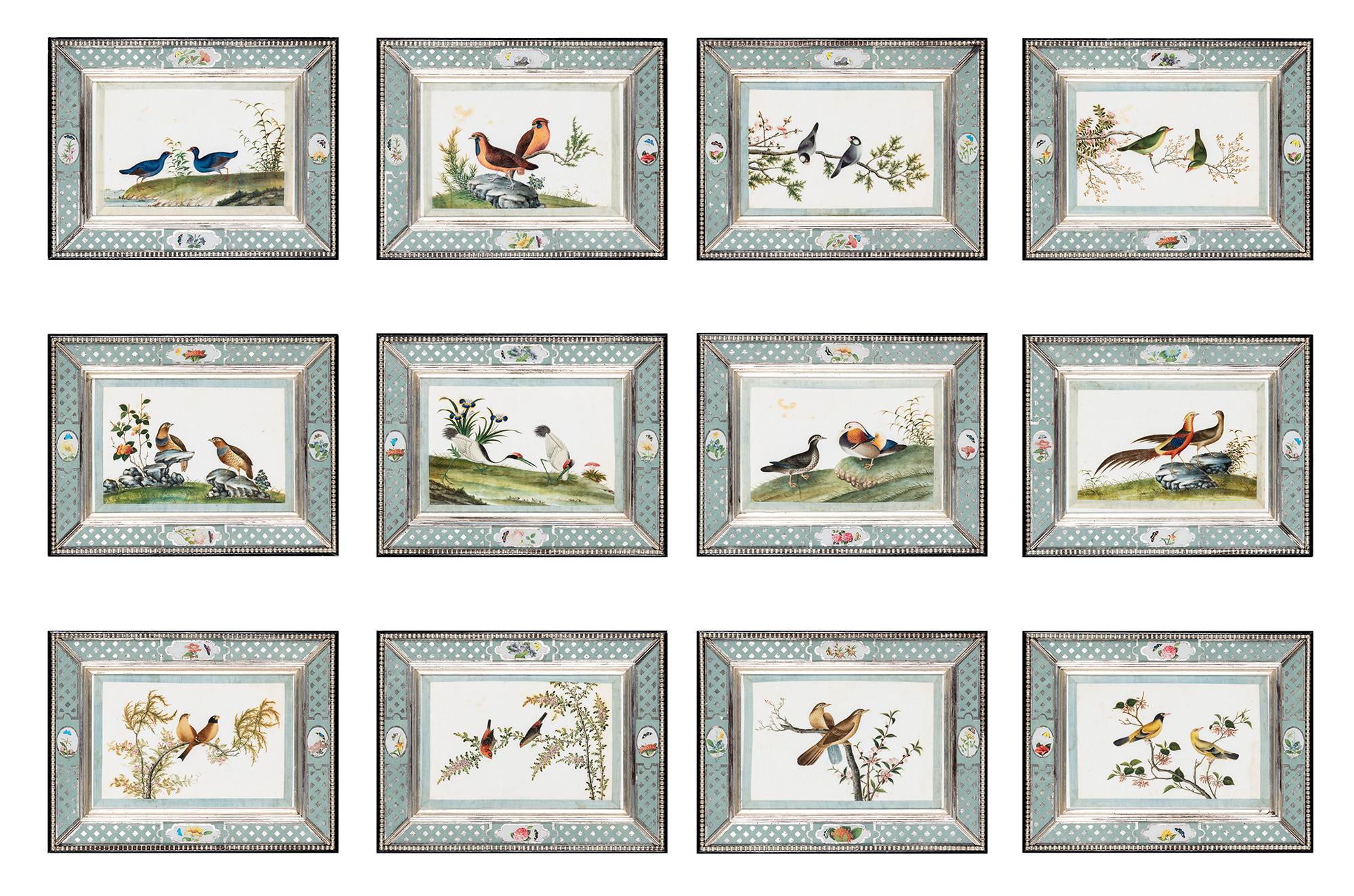 Lot image - A Rare Set of Twelve China Trade Ornithological Paintings