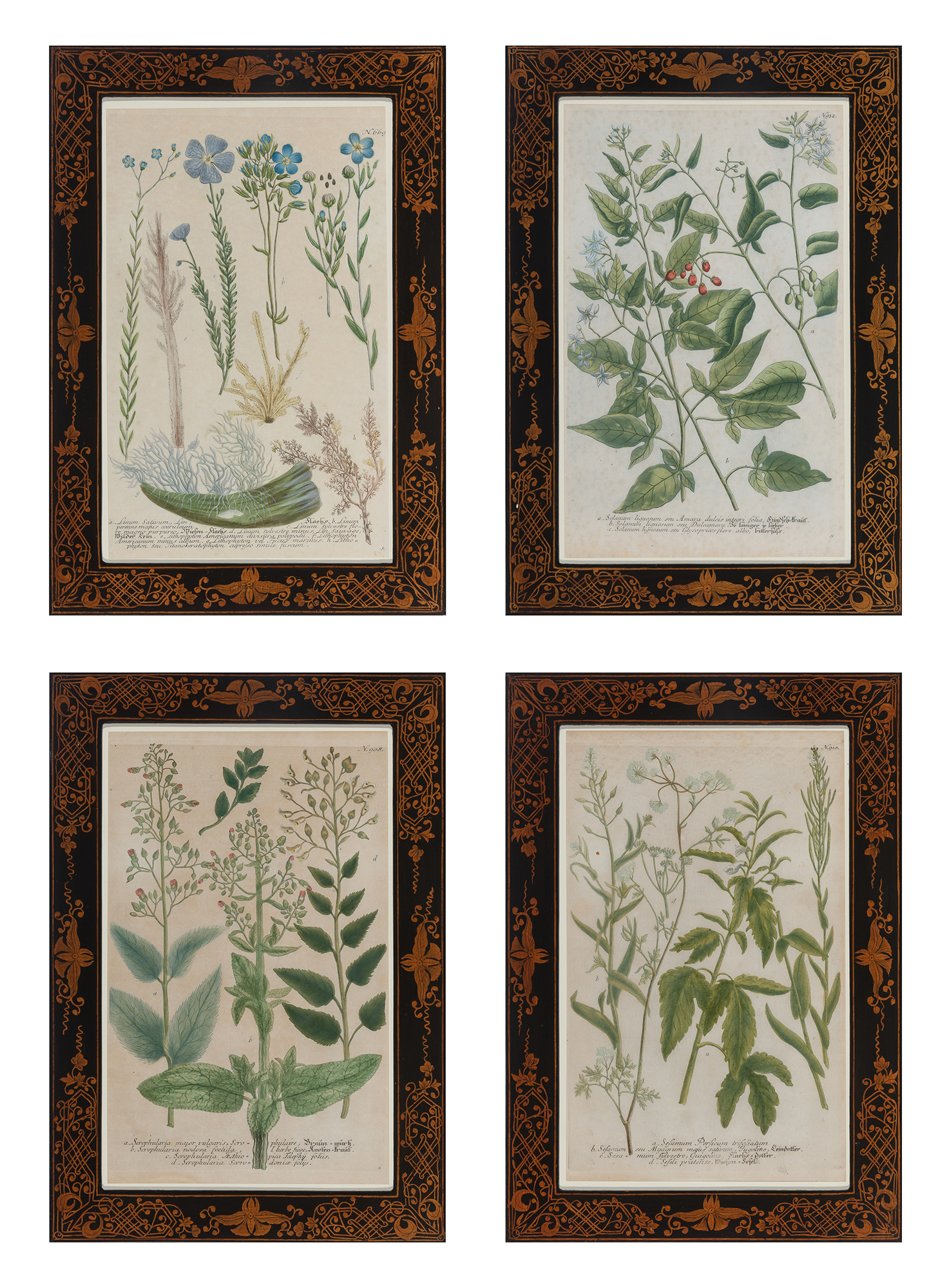 Lot image - After Johann Wilhelm Weinmann (1683-1741)