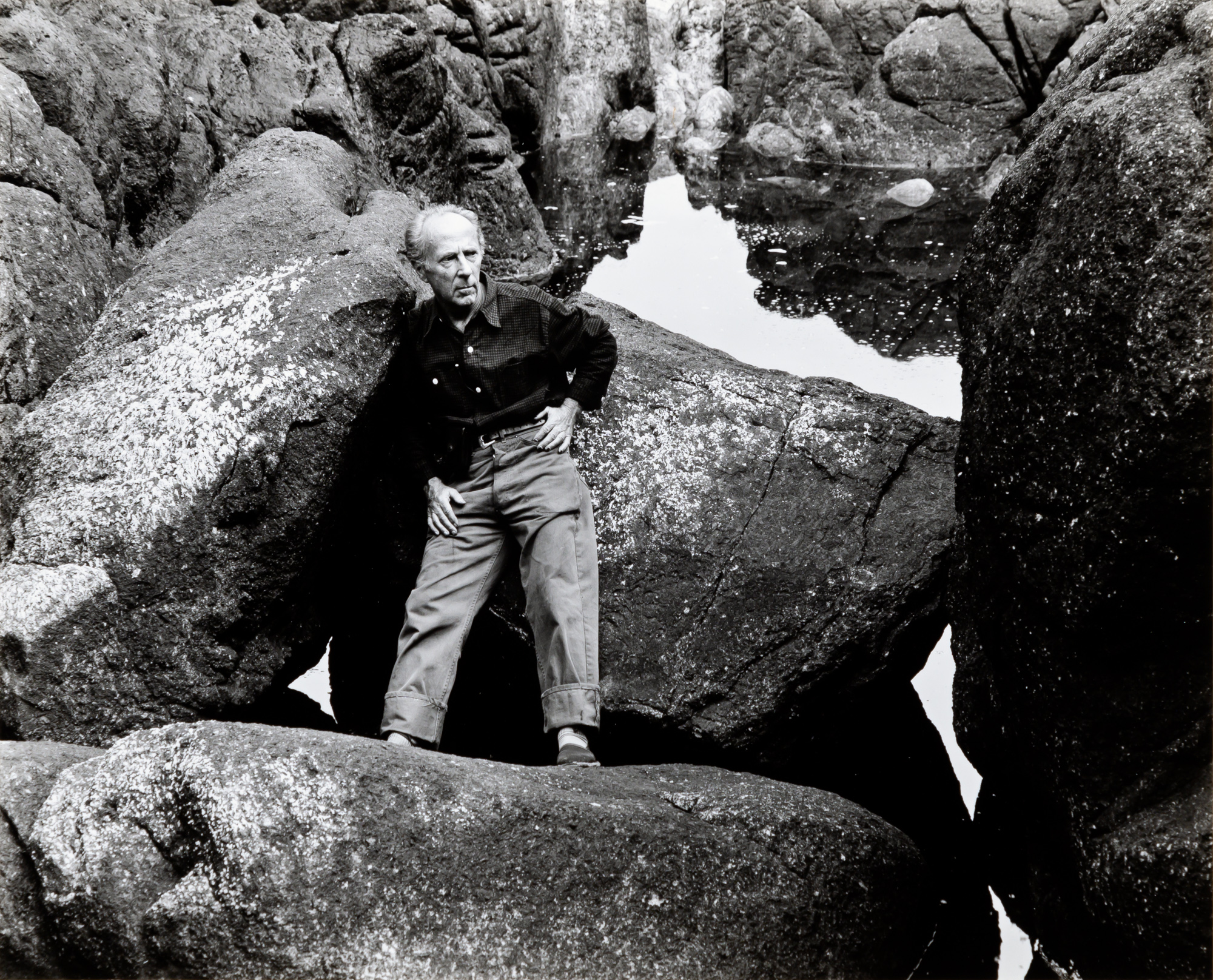 Lot image - WESTON, COLE (1919-2003)  Edward Weston [Point Lobos],