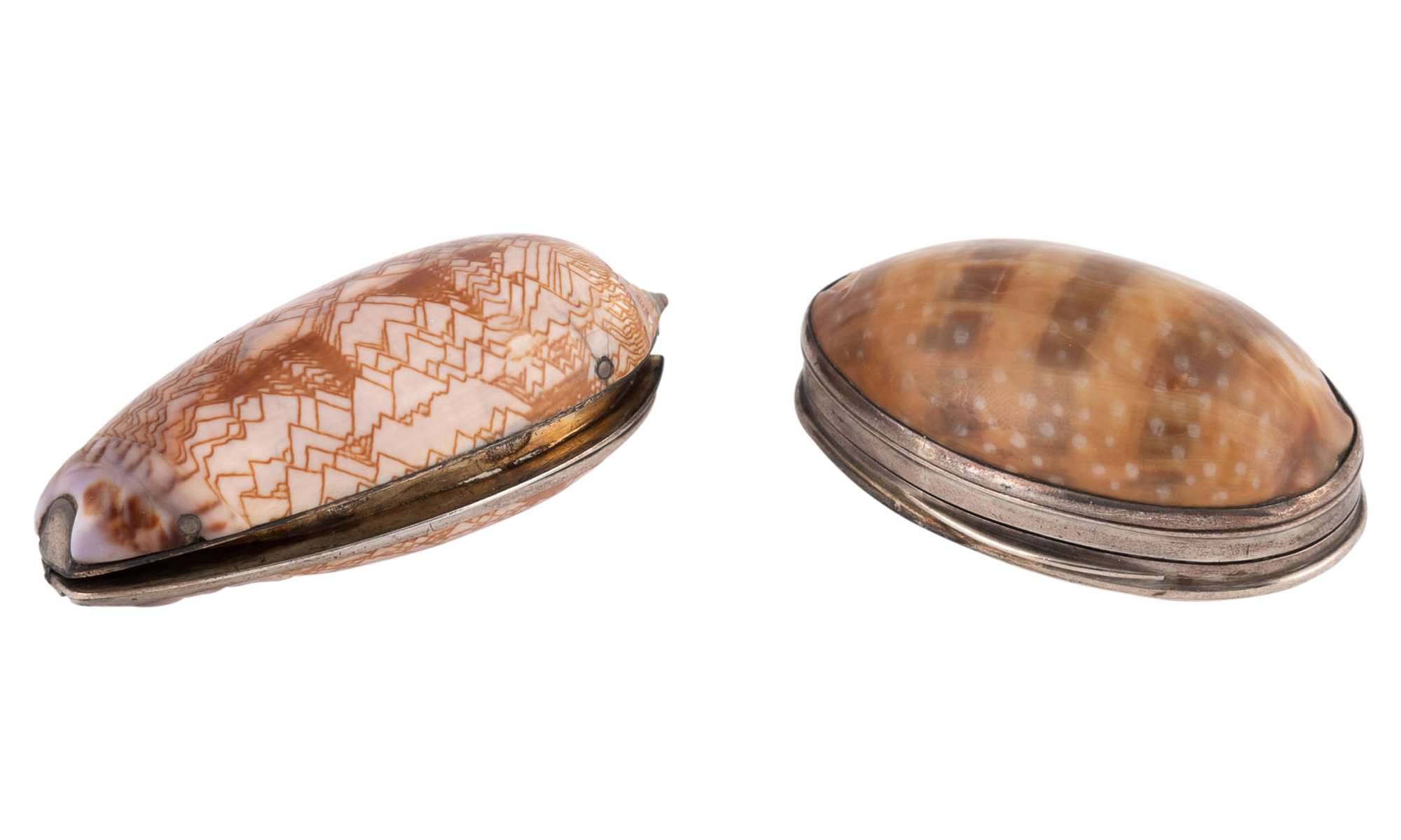 Lot image - Two George III/ George IV Sterling Silver Mounted Shell Snuff Boxes