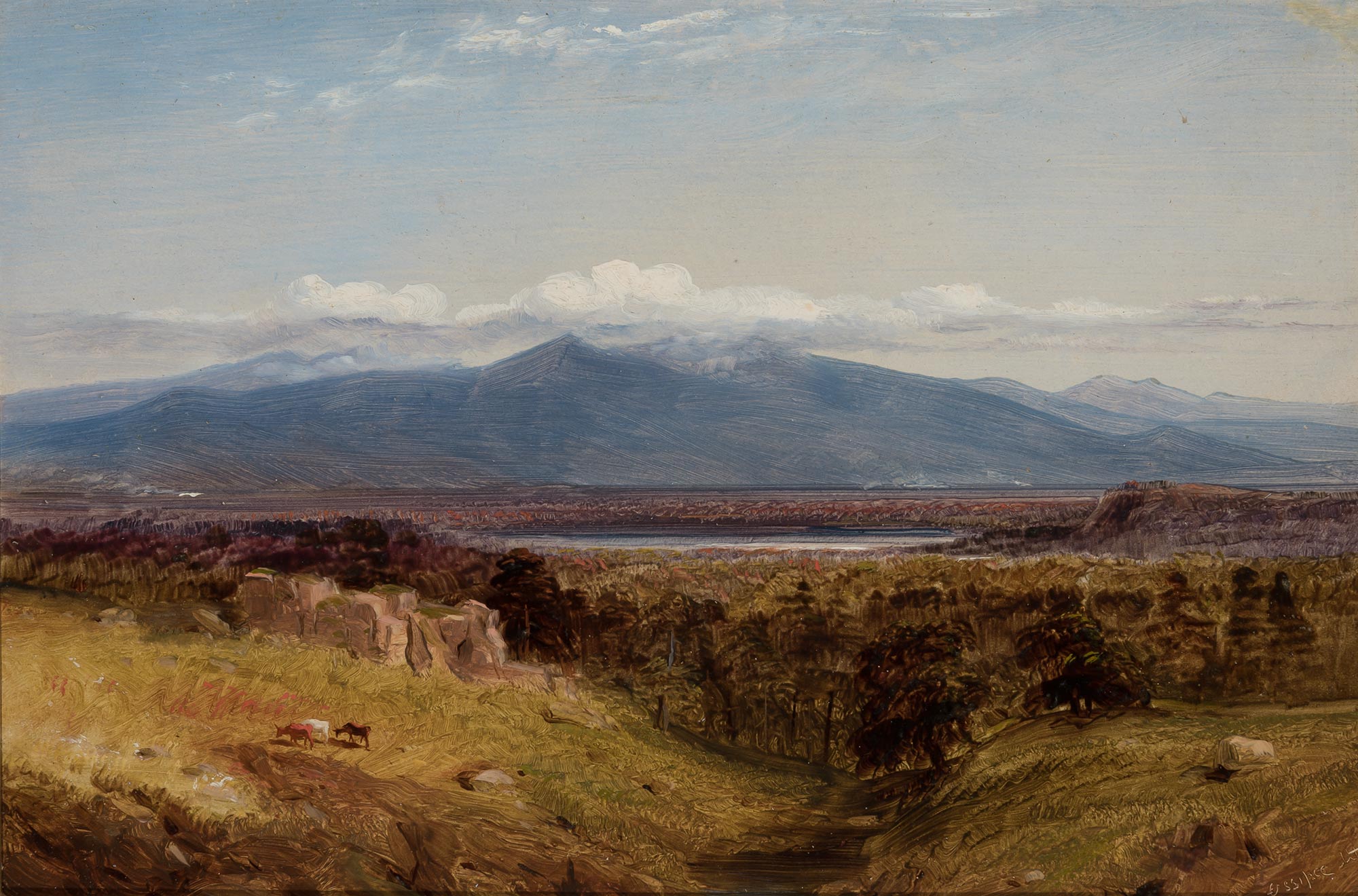 Lot image - Russell Smith