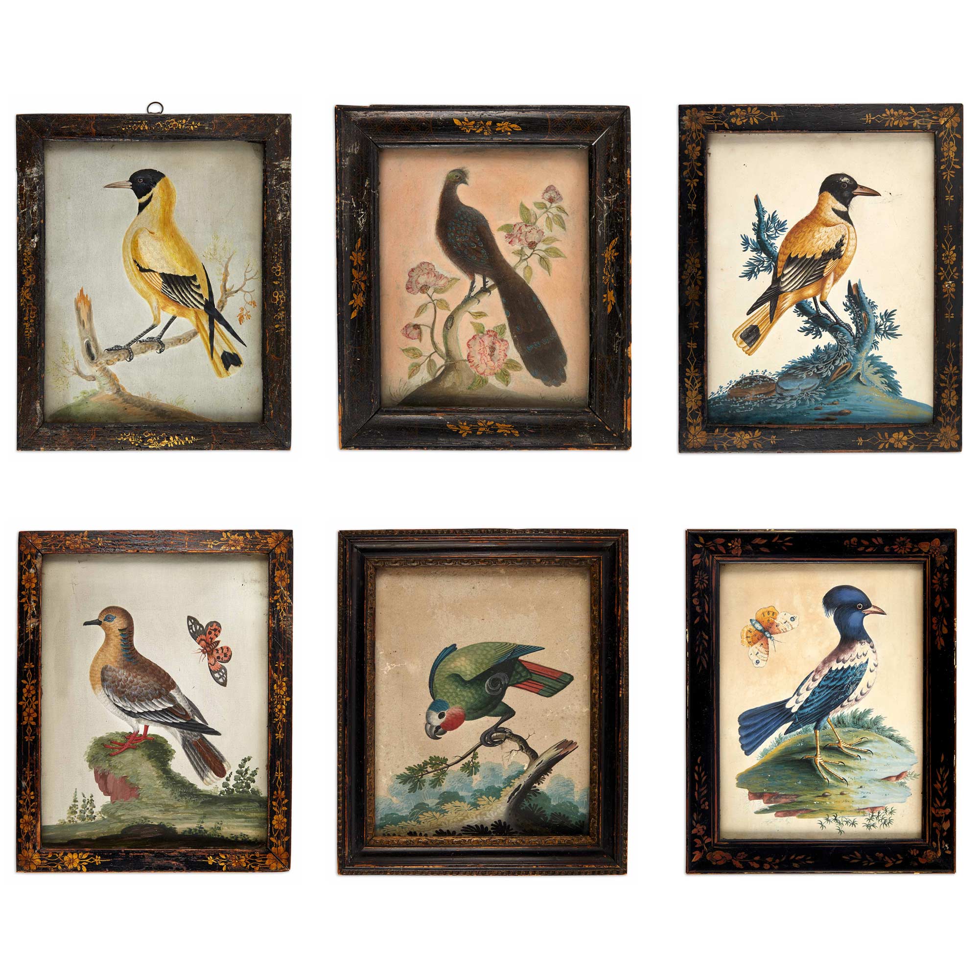 Lot image - Assembled Group of Six Irish George II Embossed Bird Pictures in the manner of Samuel Dixon