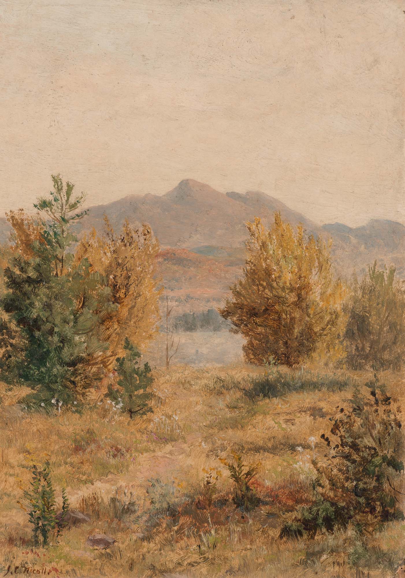 Lot image - James Craig Nicoll