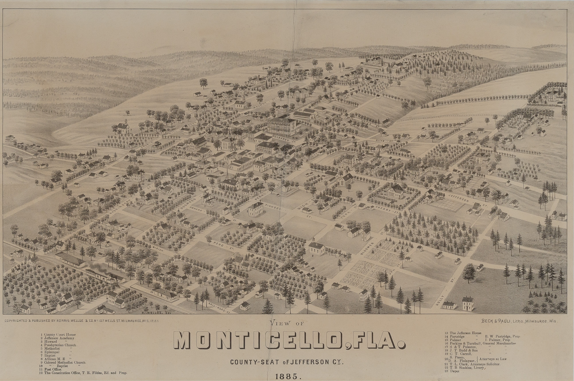 Lot image - [FLORIDA]  View of Monticello, Fla. County-Seat of Jefferson CY.