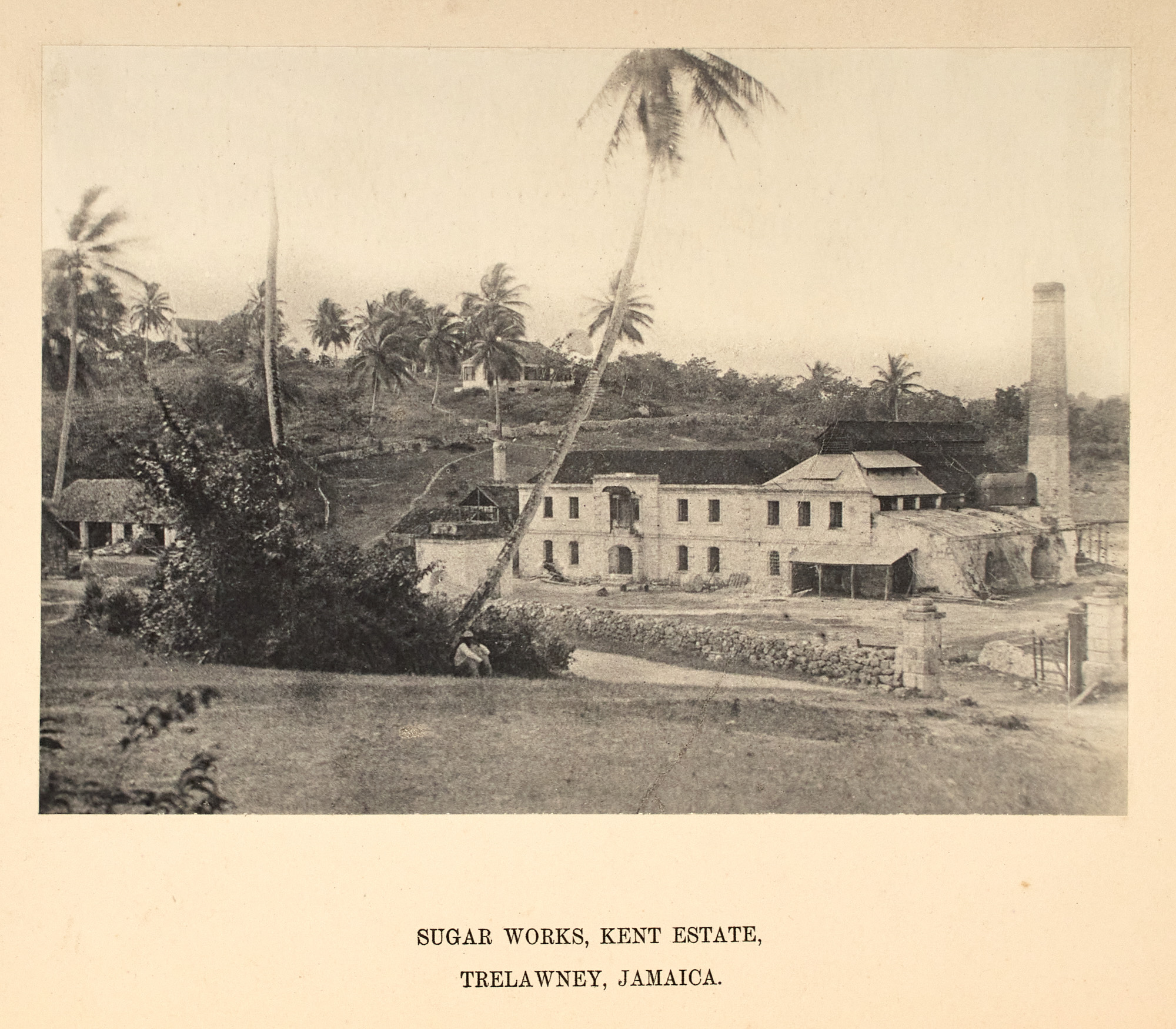 Lot image - [JAMAICA] KERR, WILLIAM JAMES. The Genealogical Tree of the Family of Jarrett, of Orange Valley, Jamaica, and Camerton Court, C...