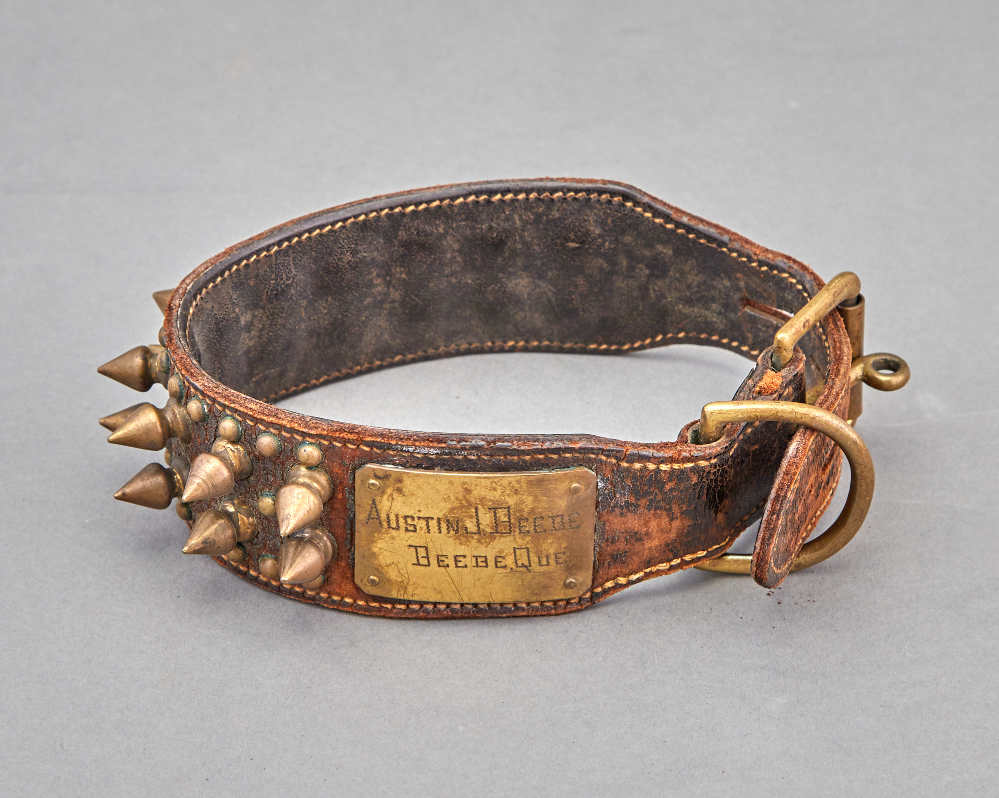 Lot image - Brass Studded Leather Dog Collar