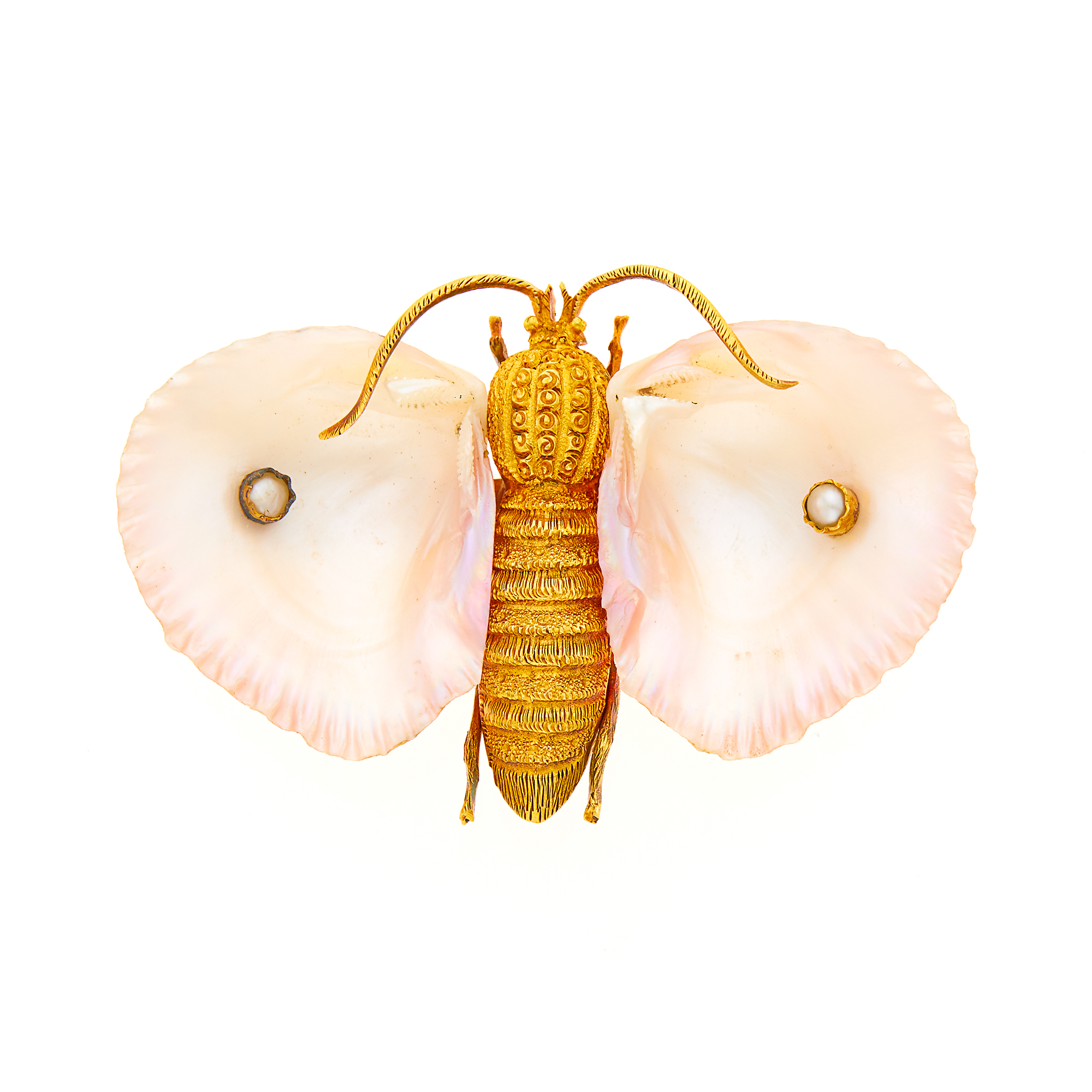 Lot image - Antique Gold, Shell and Split Pearl Moth Brooch