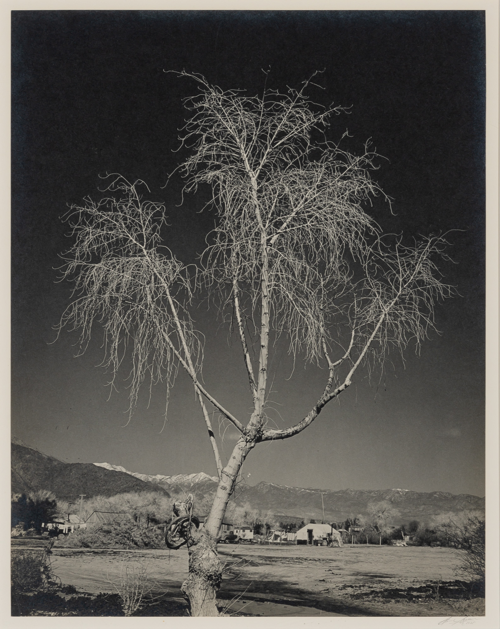 Lot image - ADAMS, ANSEL (1902-1984)  Indian Property near Palm Springs, Cal.,