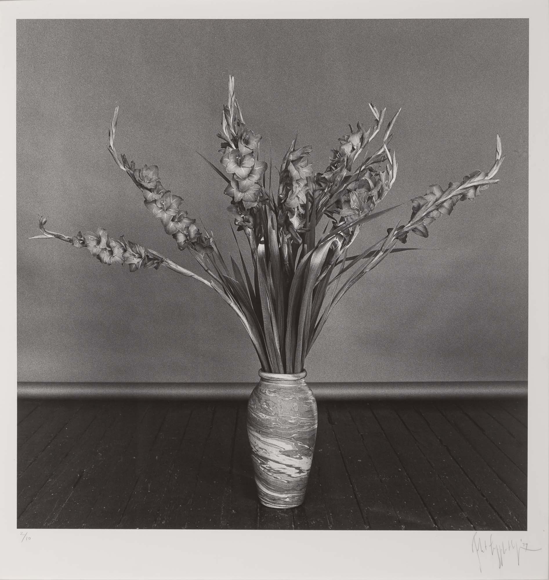Lot image - MAPPLETHORPE, ROBERT (1946-1989)  Gladioli,