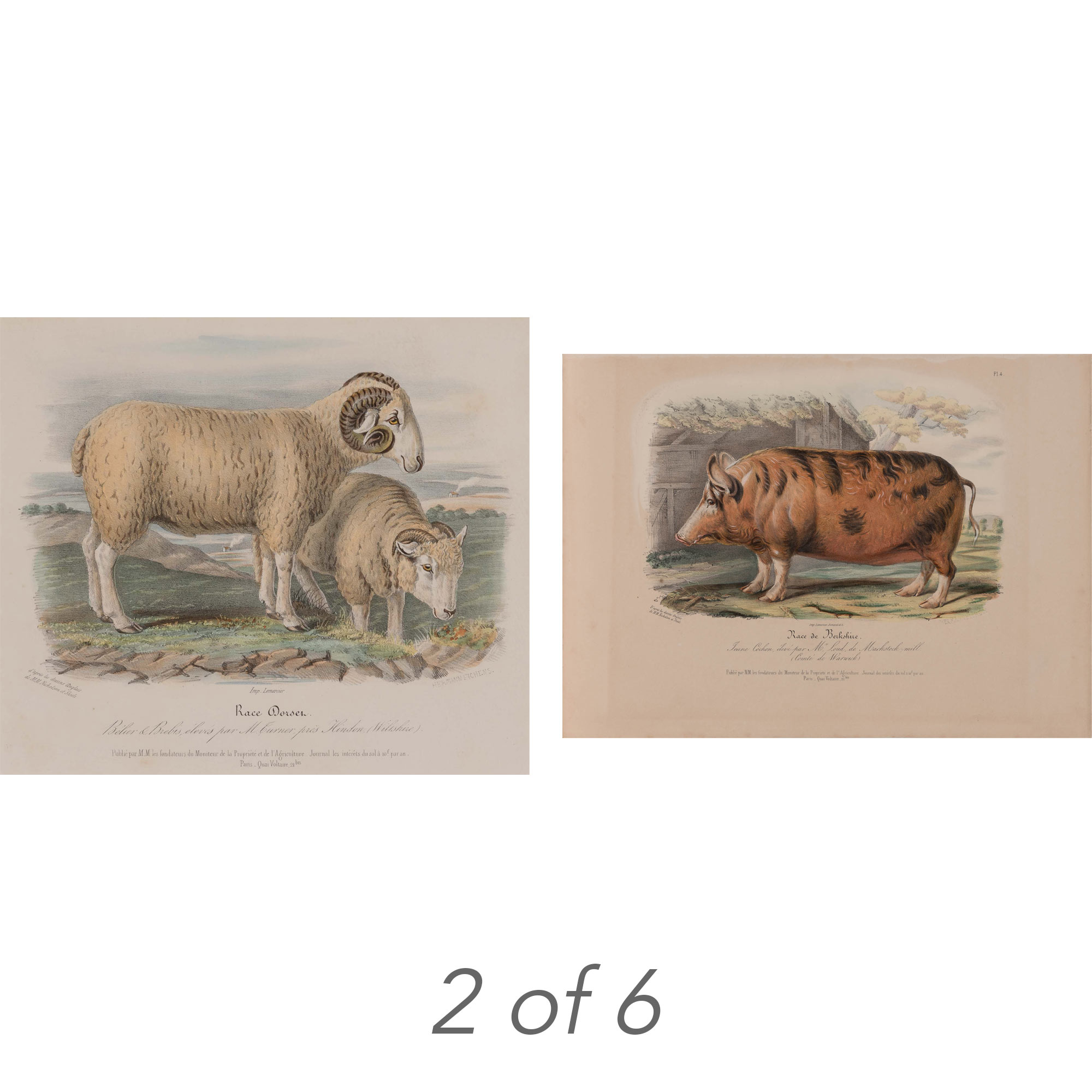 Lot image - Hermann Eichens (1813-1886)