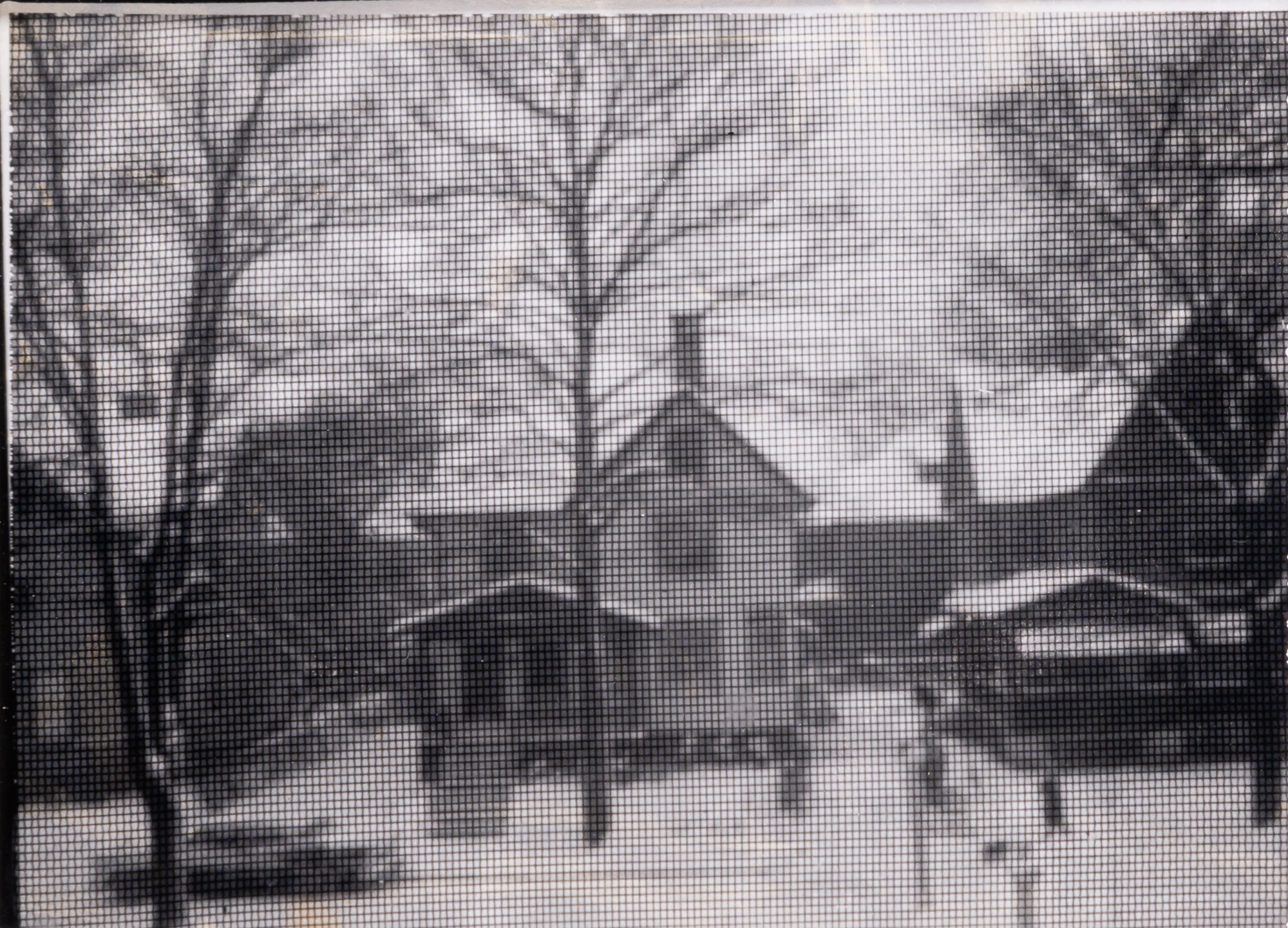 Lot image - ADAMS, ANSEL (1902-1984)  Rundel Park through Window Screen, Rochester, New York,