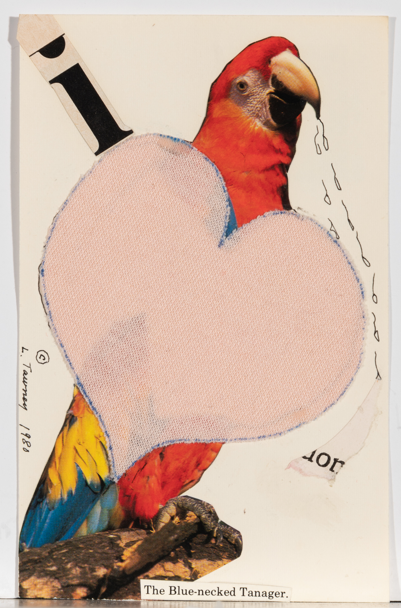 Lot image - Lenore Tawney