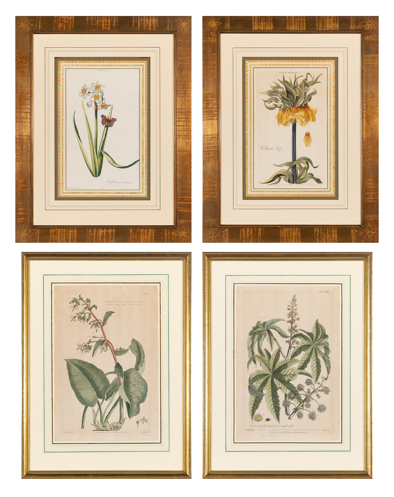 Lot image - After Johann Michael Seligmann (1720-1762)