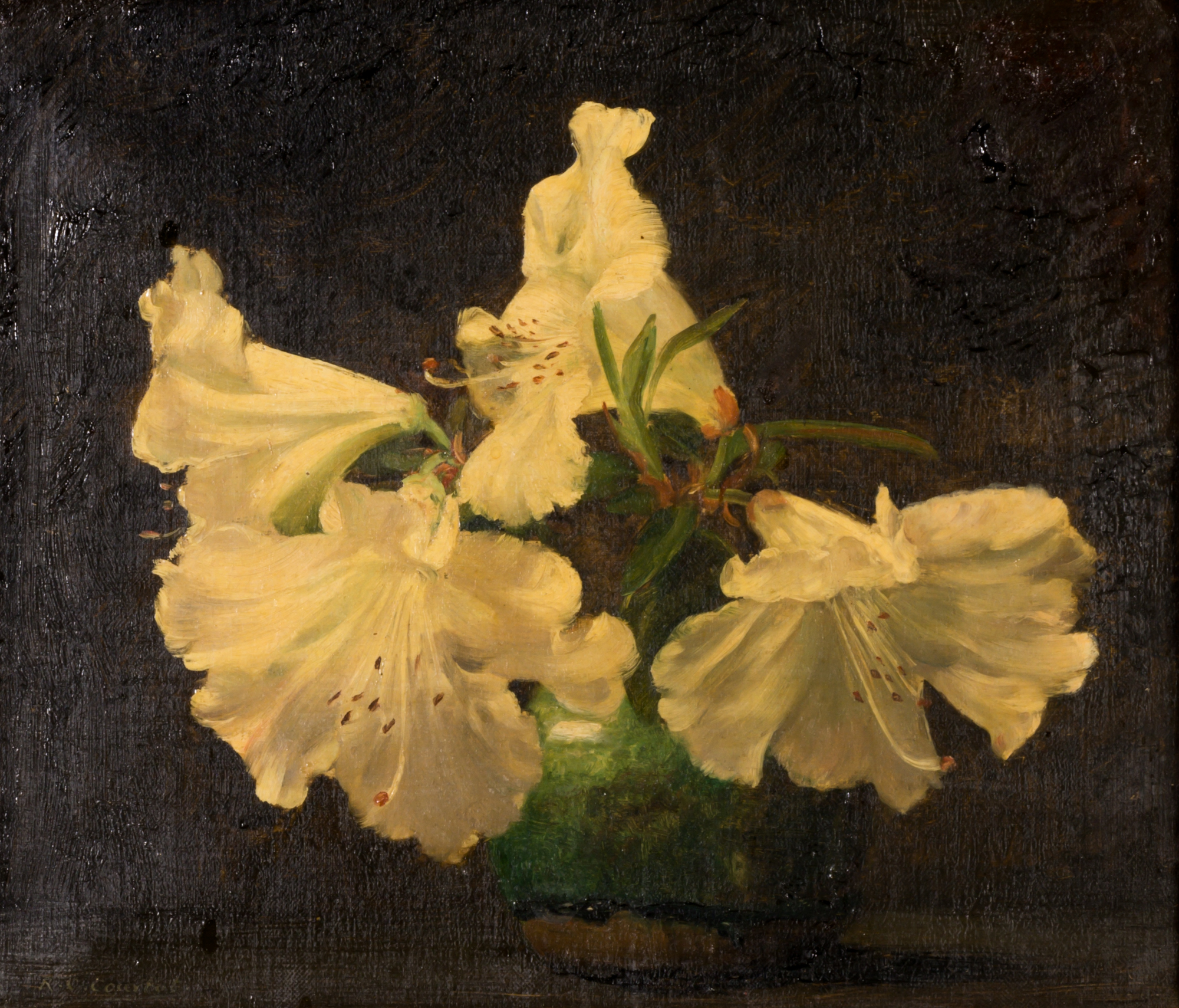 Lot image - Continental School