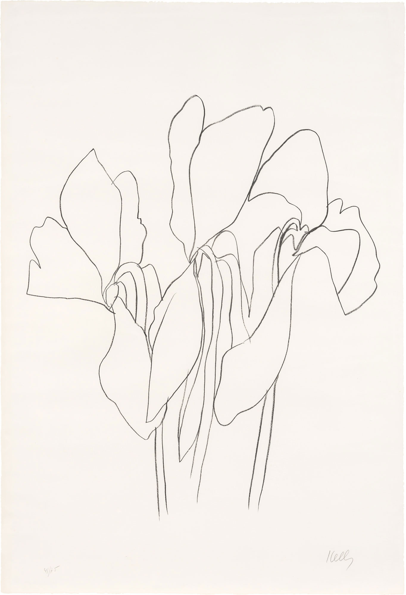 Lot image - Ellsworth Kelly (1923-2015)