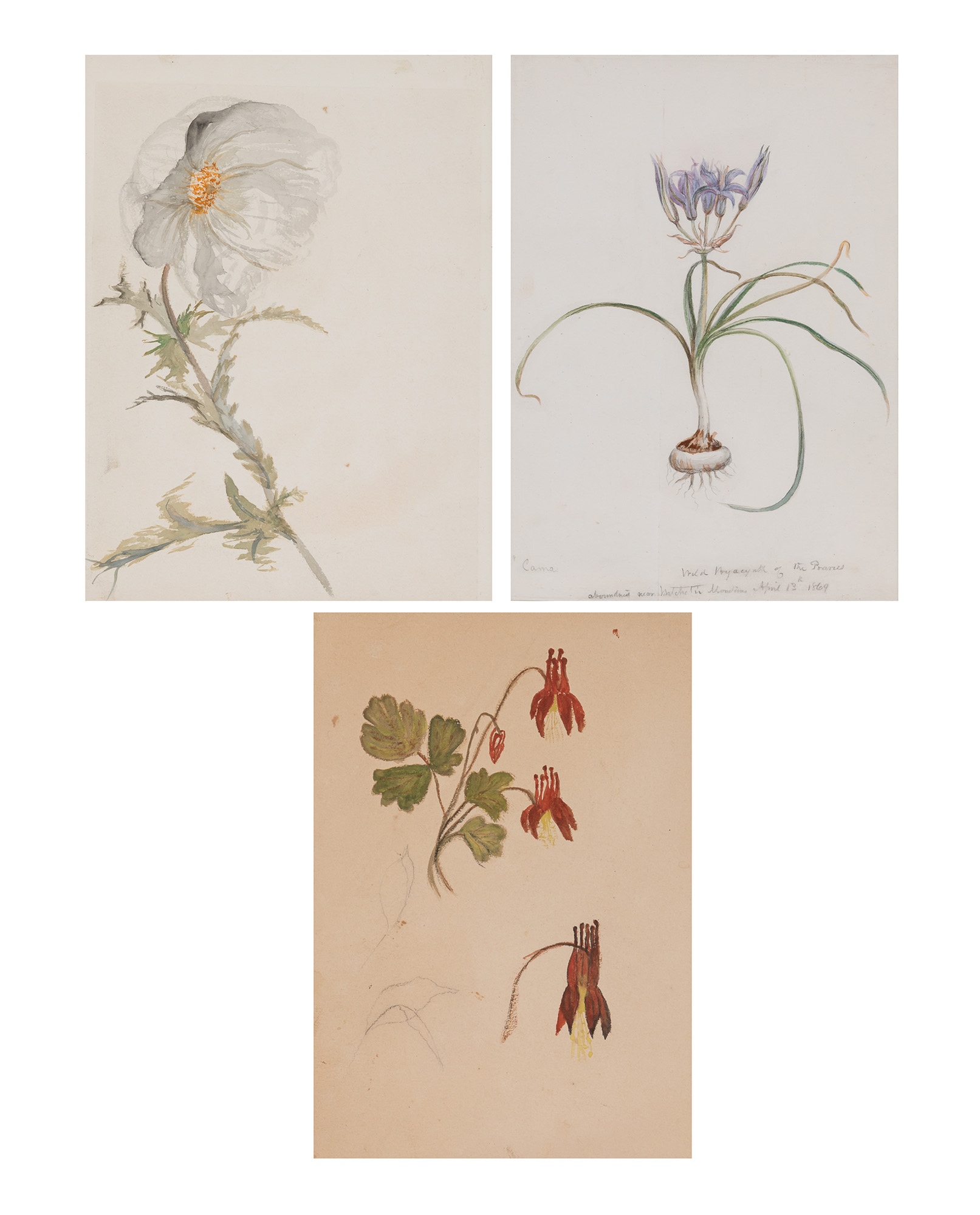 Lot image - Vincent Colyer