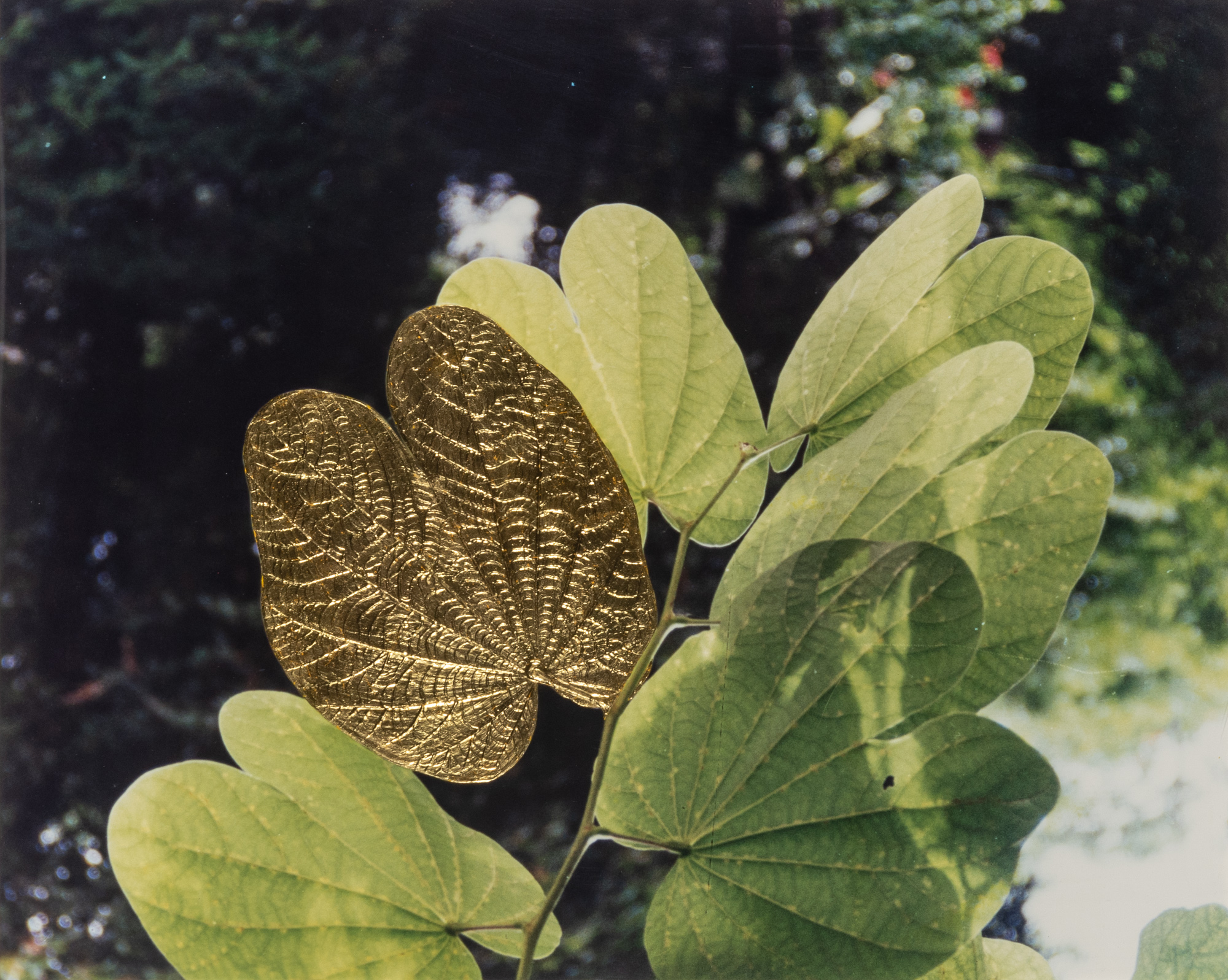 Lot image - BENGLIS, LYNDA (b. 1941)