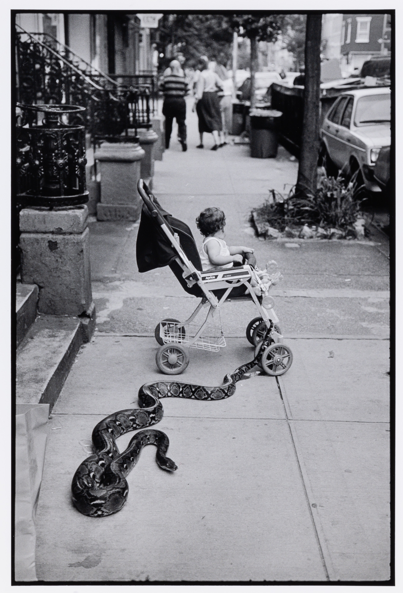 Lot image - FREED, LEONARD (1929-2006)  [Pet Snake], New York City, USA