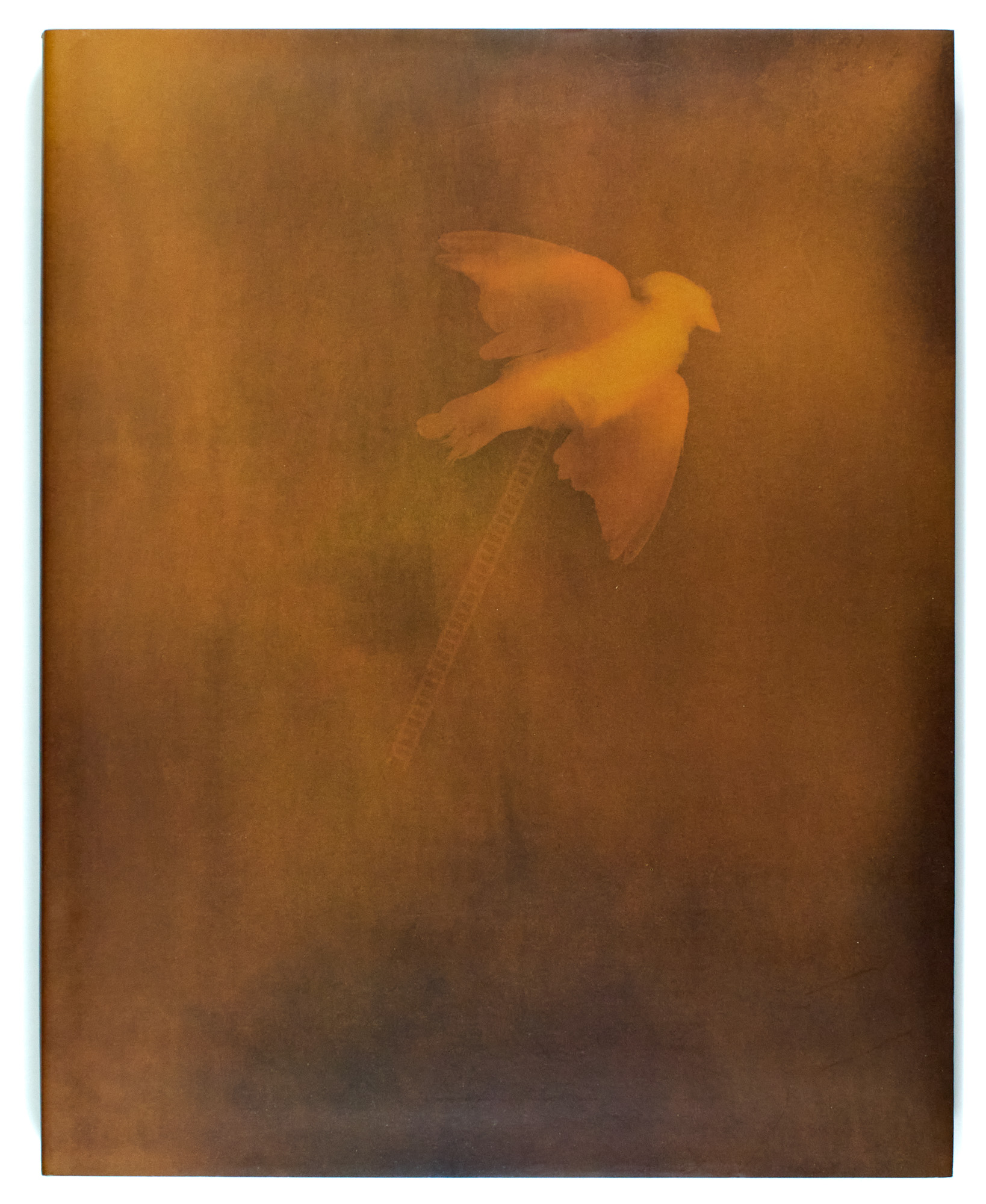 Lot image - [PHOTOBOOKS]  Group of four works by or about Adam Fuss.