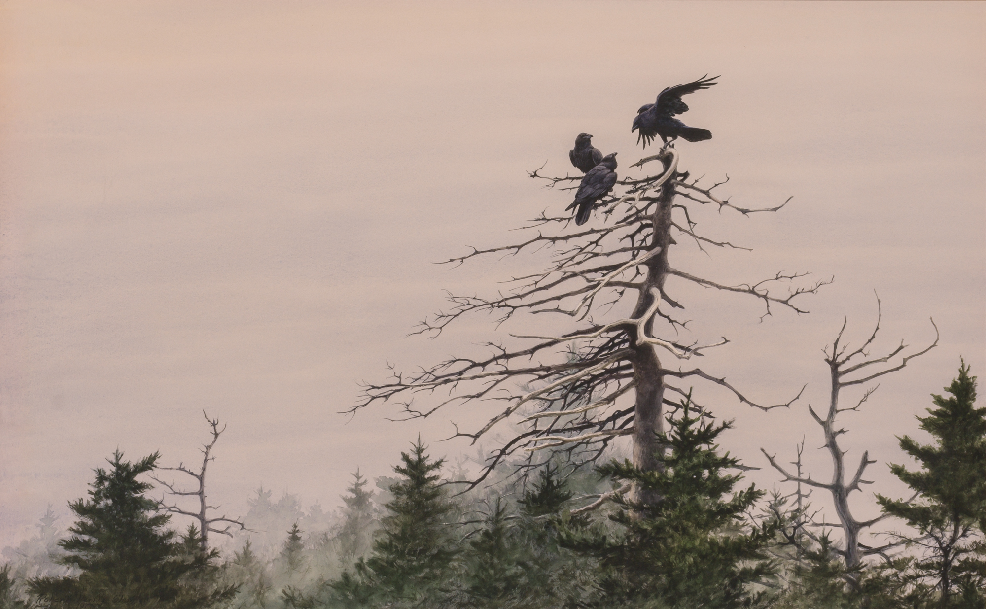 Lot image - Robert Verity Clem