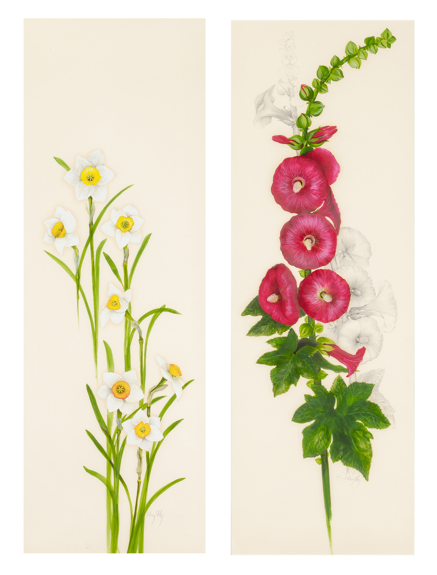 Lot image - Regis Dho