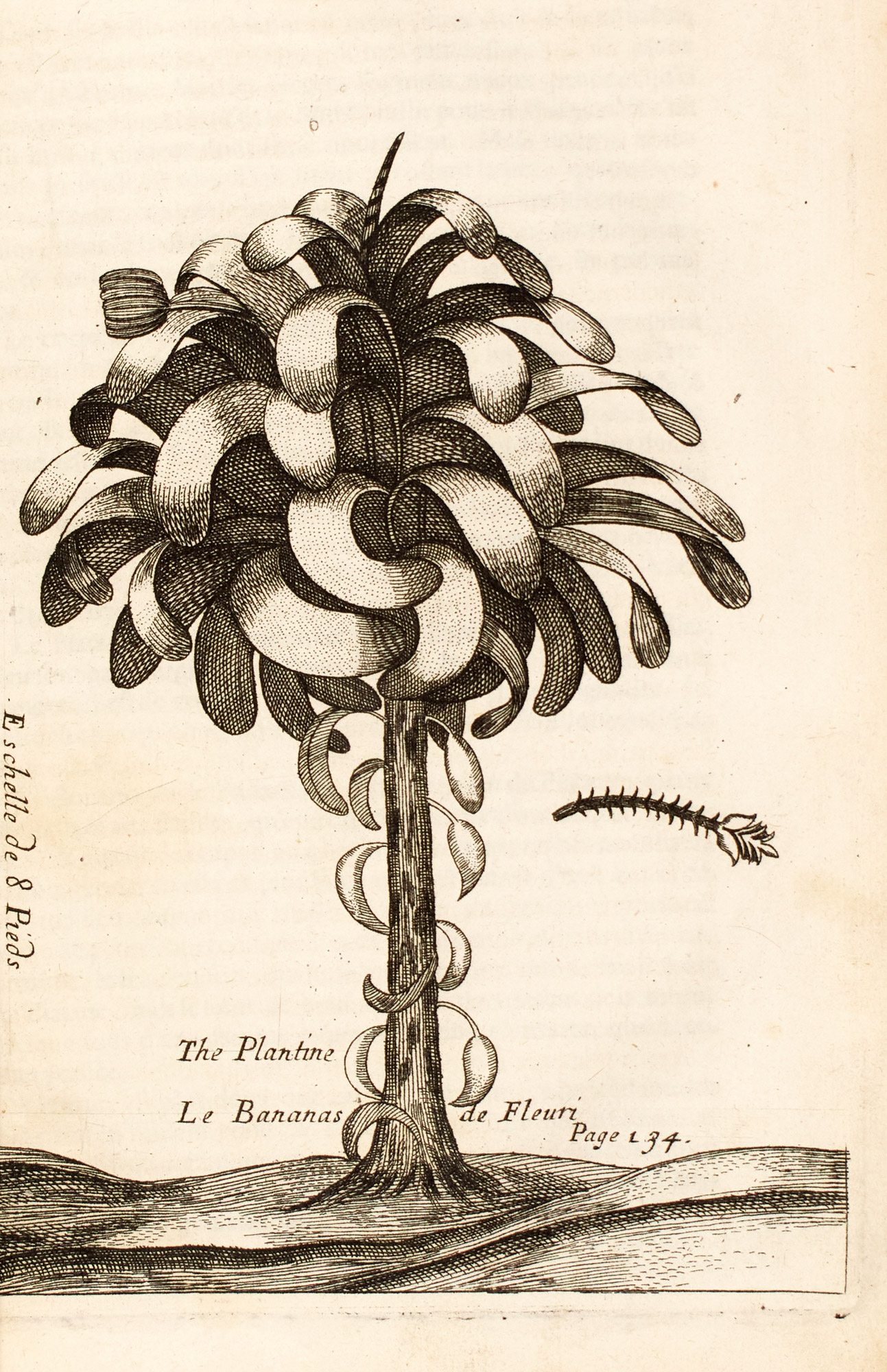 Lot image - JUSTEL, HENRI  Recueil de Divers Voyages faits en Afrique et en LAmerique.