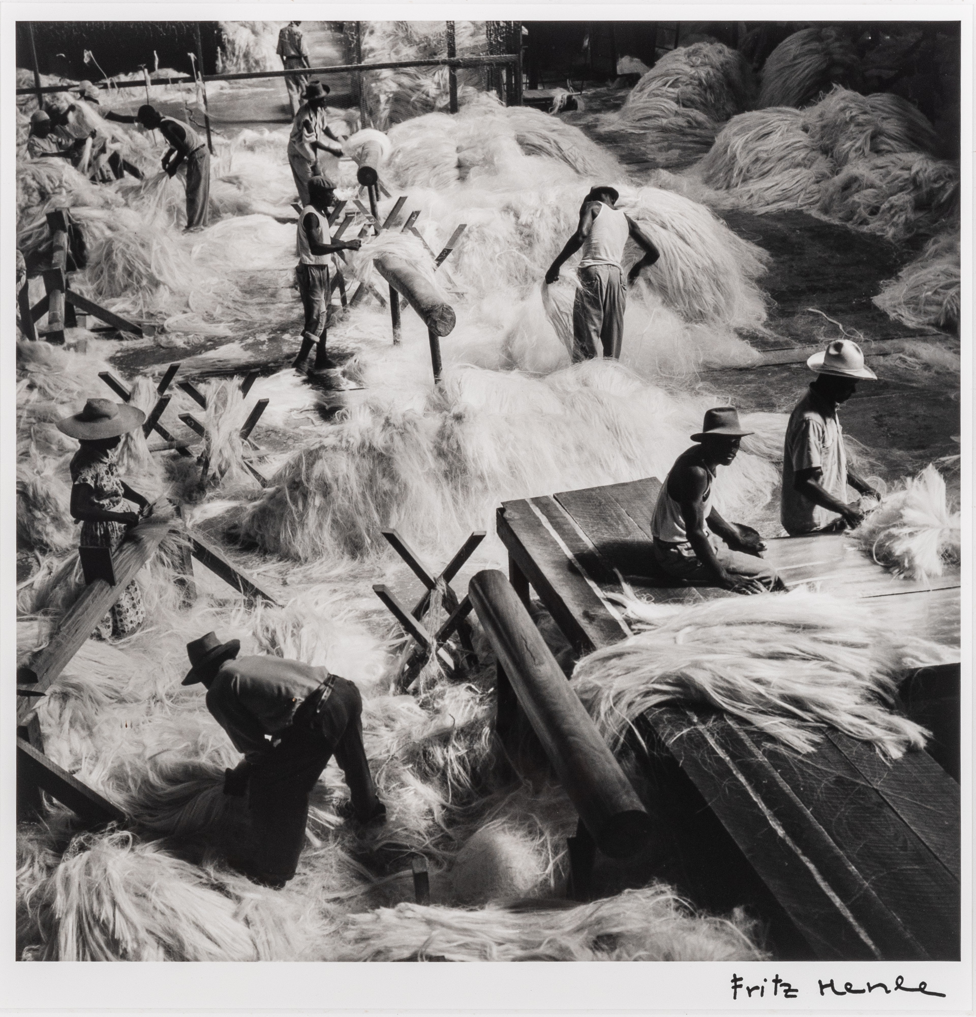 Lot image - HENLE, FRITZ (1909-1993)  Untitled [Sisal Factory in Haiti],