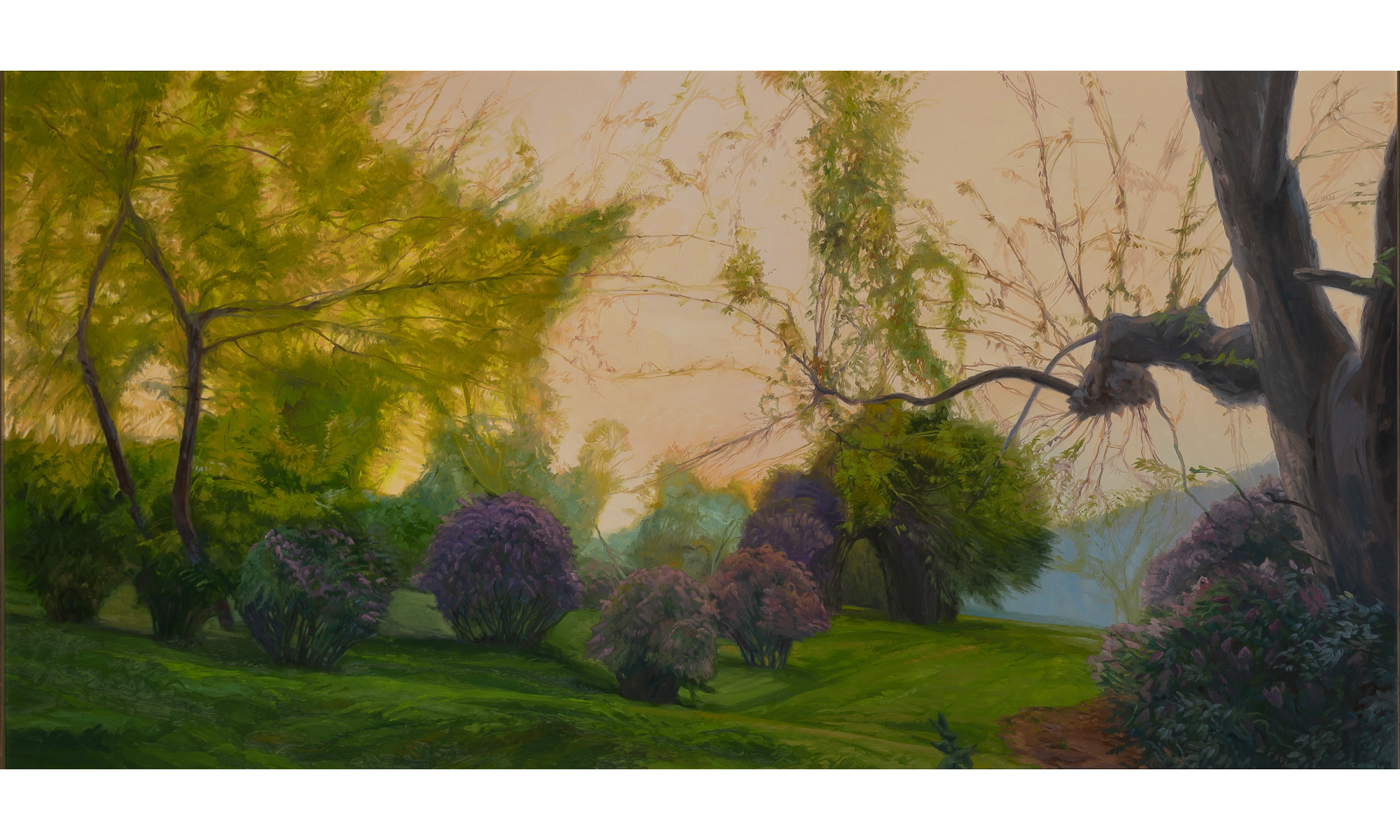 Lot image - Conley Harris