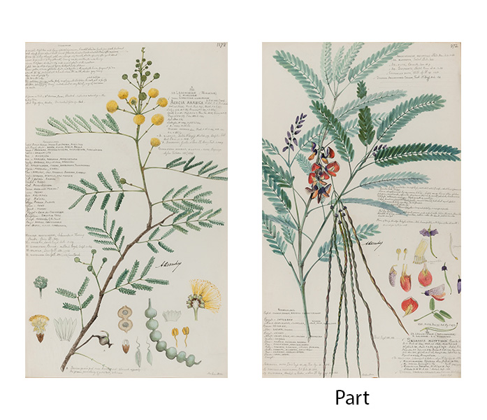 Lot image - Company School