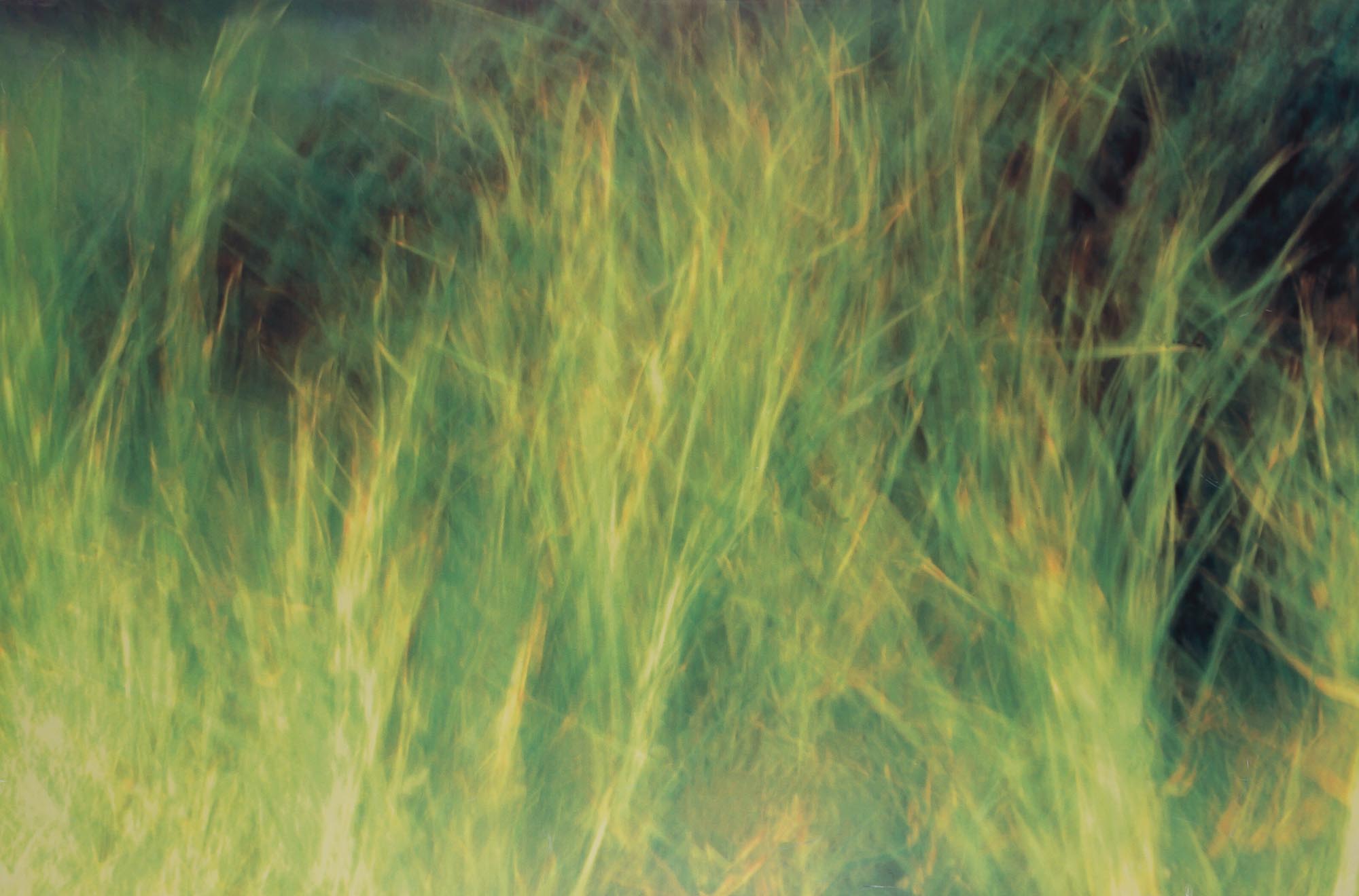 Lot image - Contemporary School