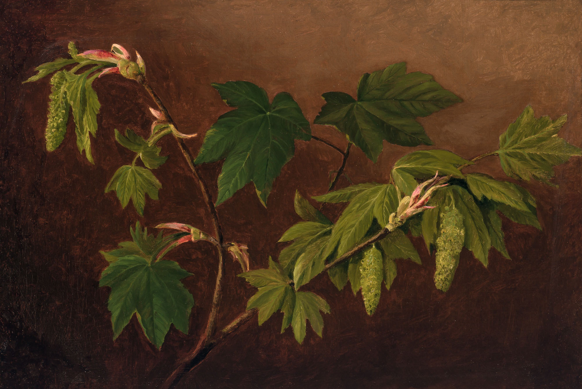 Lot image - Joseph Tubby