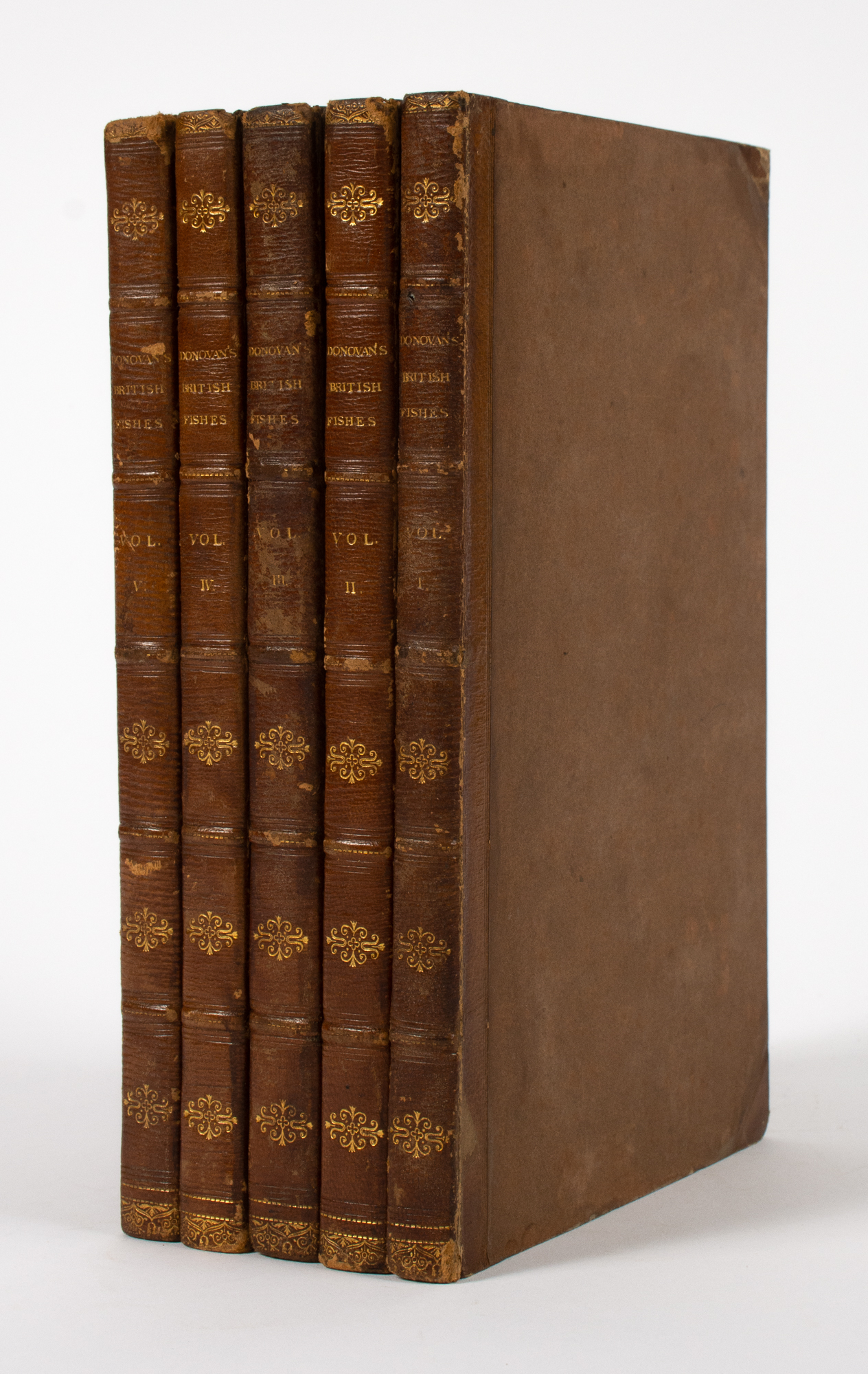 Lot image - [COLOR PLATE]  DONOVAN, EDWARD. The Natural History of British Fishes.