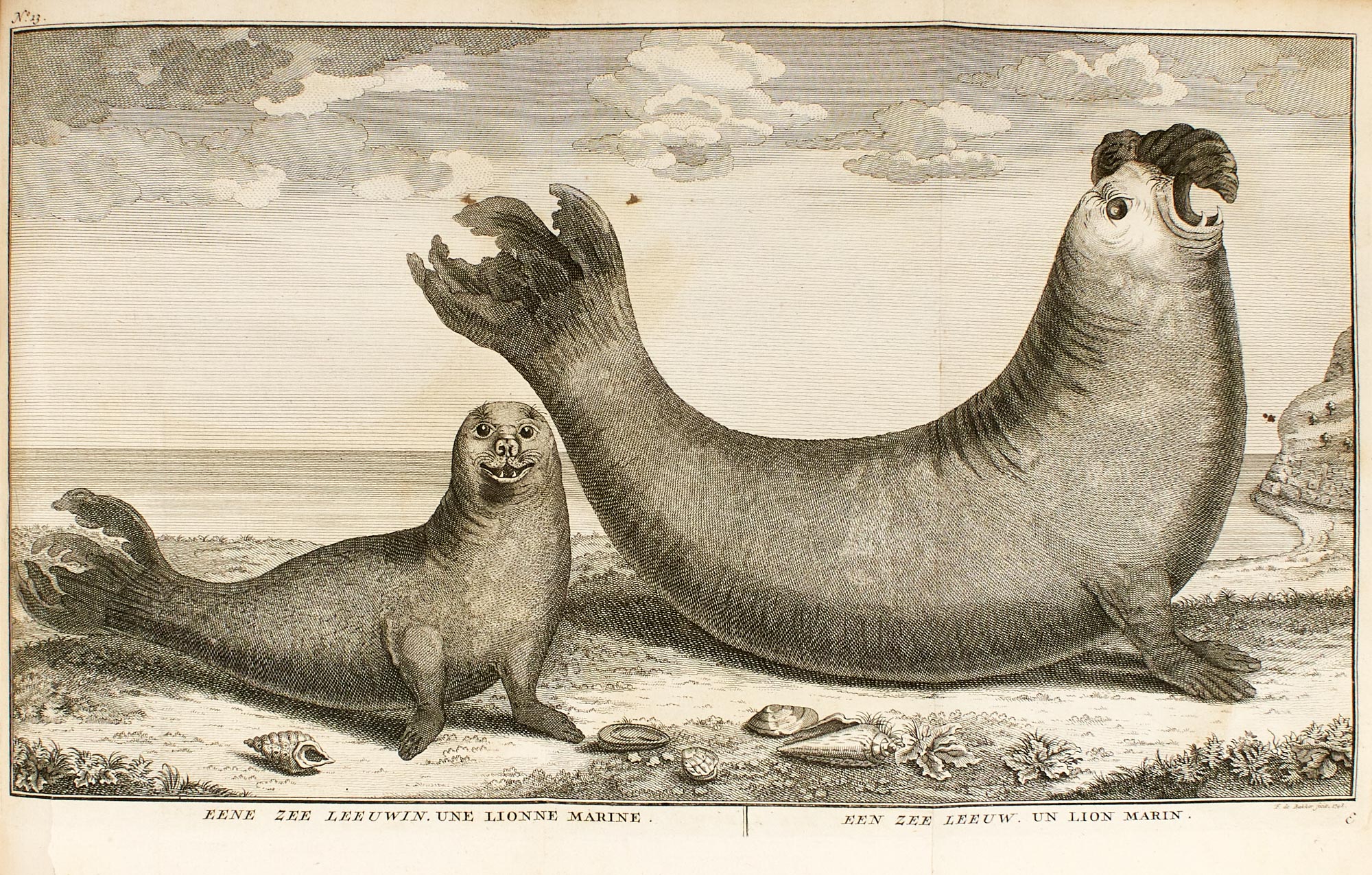 Lot image - ANSON, GEORGE  Voyage Autour Du Monde, fait dans les annees MDCCCXL,I,II,III,IV. Par George Anson, Presentement Lord Anson, Commandant en Chef dune Excadre Envoyee par sa Majeste Britanique dans la Mer du Sud.