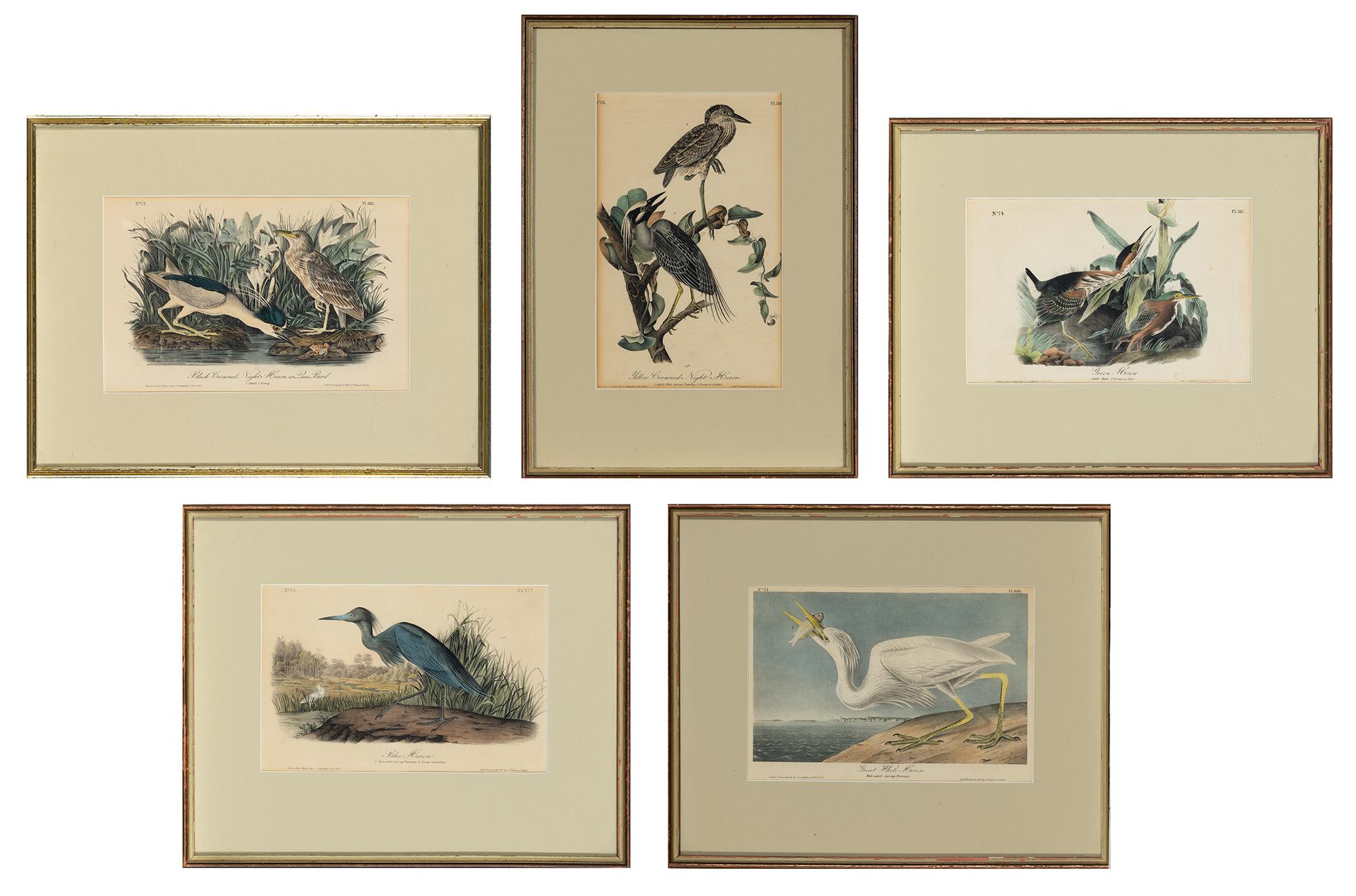 Lot image - After John James Audubon (1785-1851)